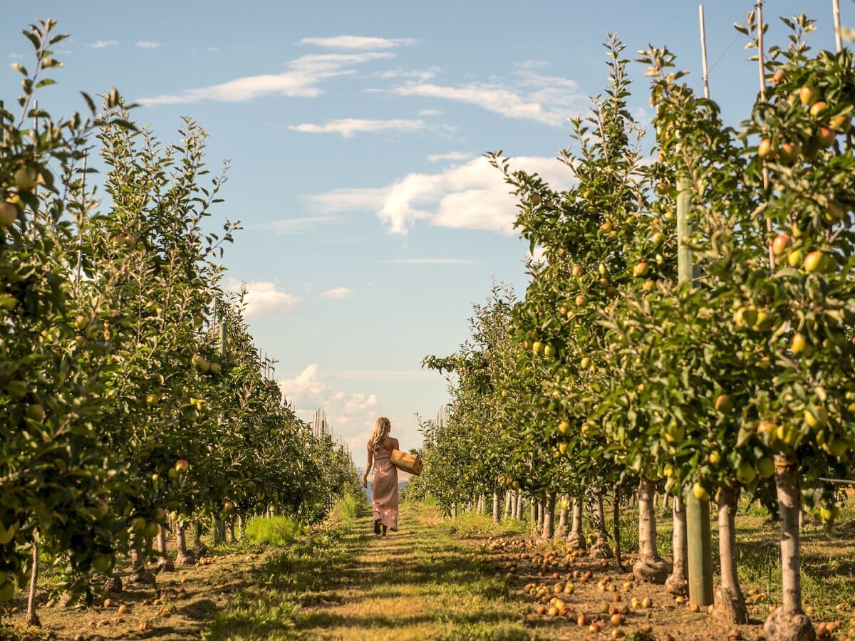 One Town in Canada Just Became a Global UNESCO 'Gastronomy City'