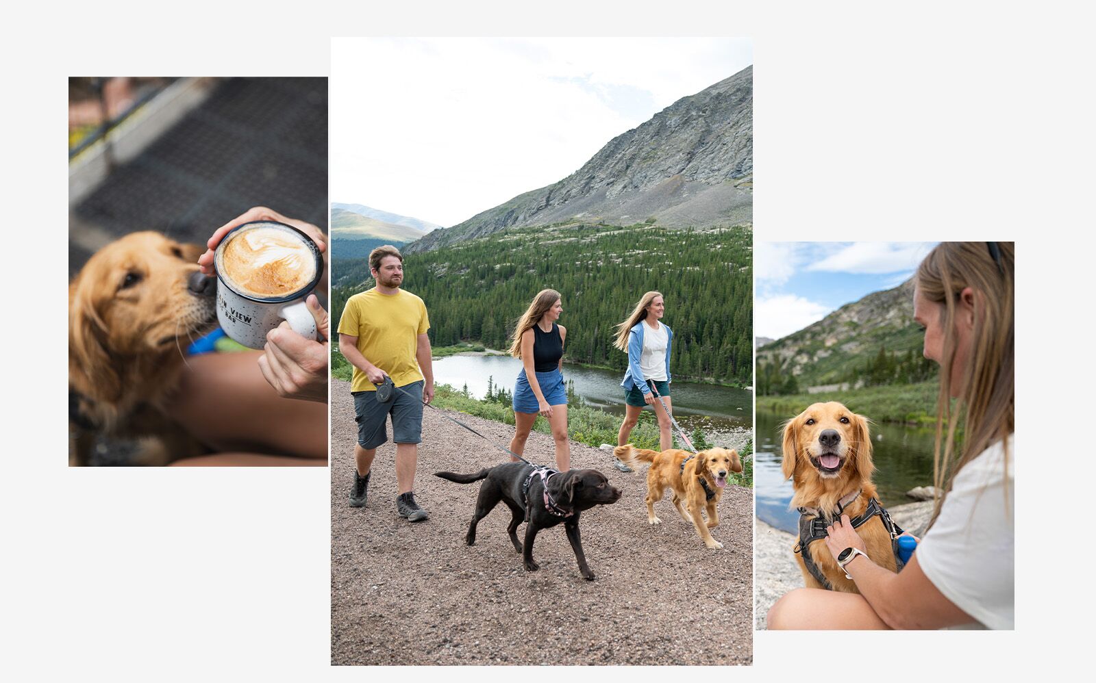 dog friendly destinations Breckenridge