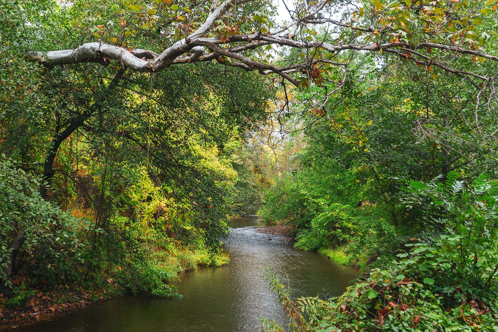 things to do in butte county