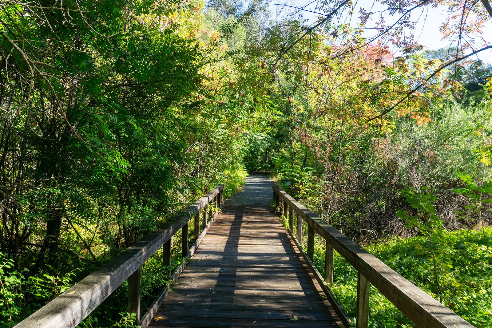 things to do in butte county