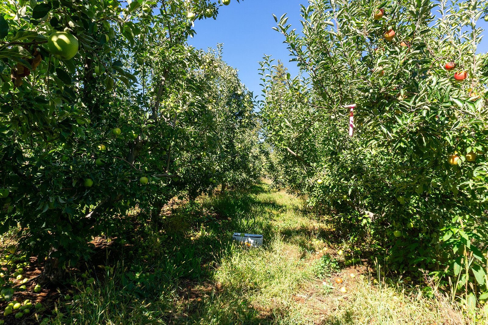 things to do in butte county