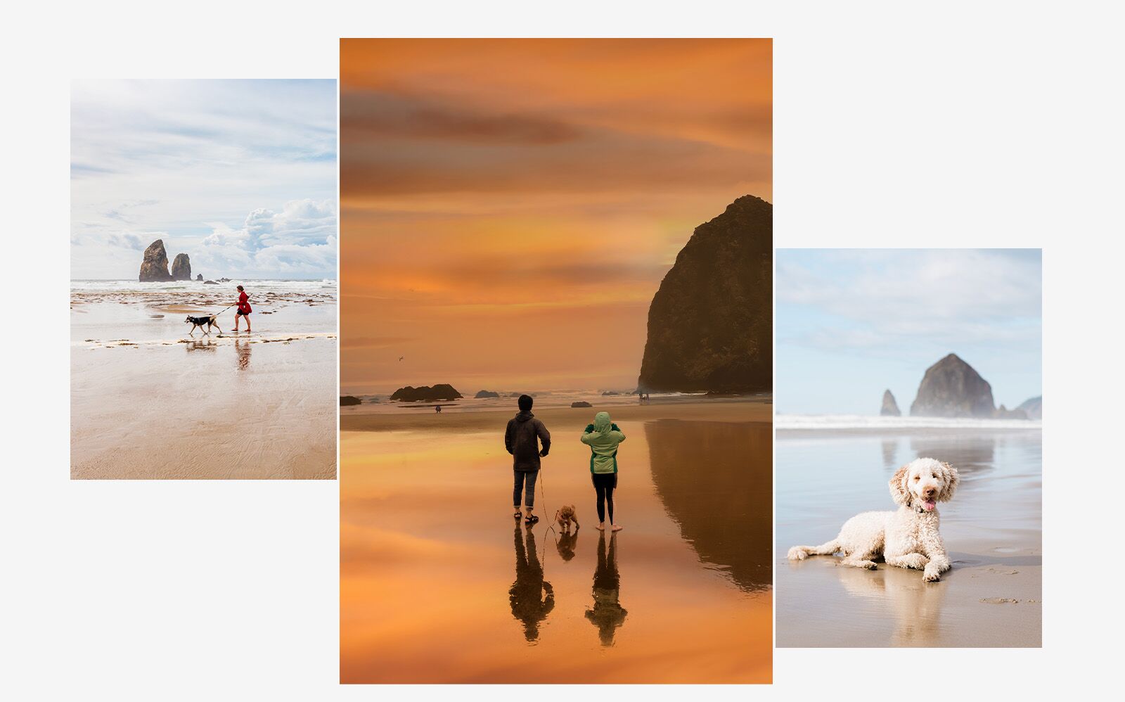 Cannon Beach dog destination 2025