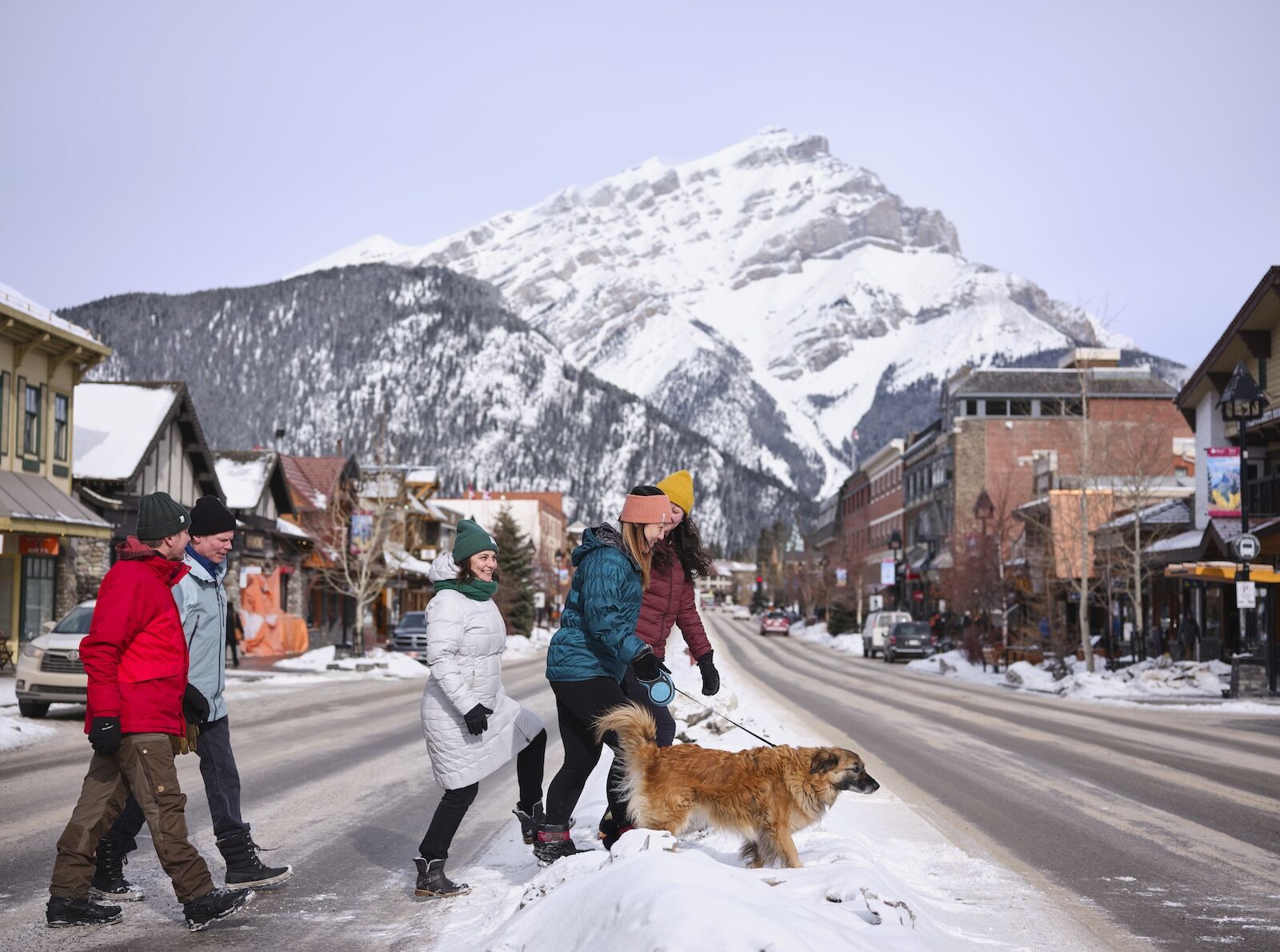 The Best Dog-Friendly Destinations of 2026: Banff National Park