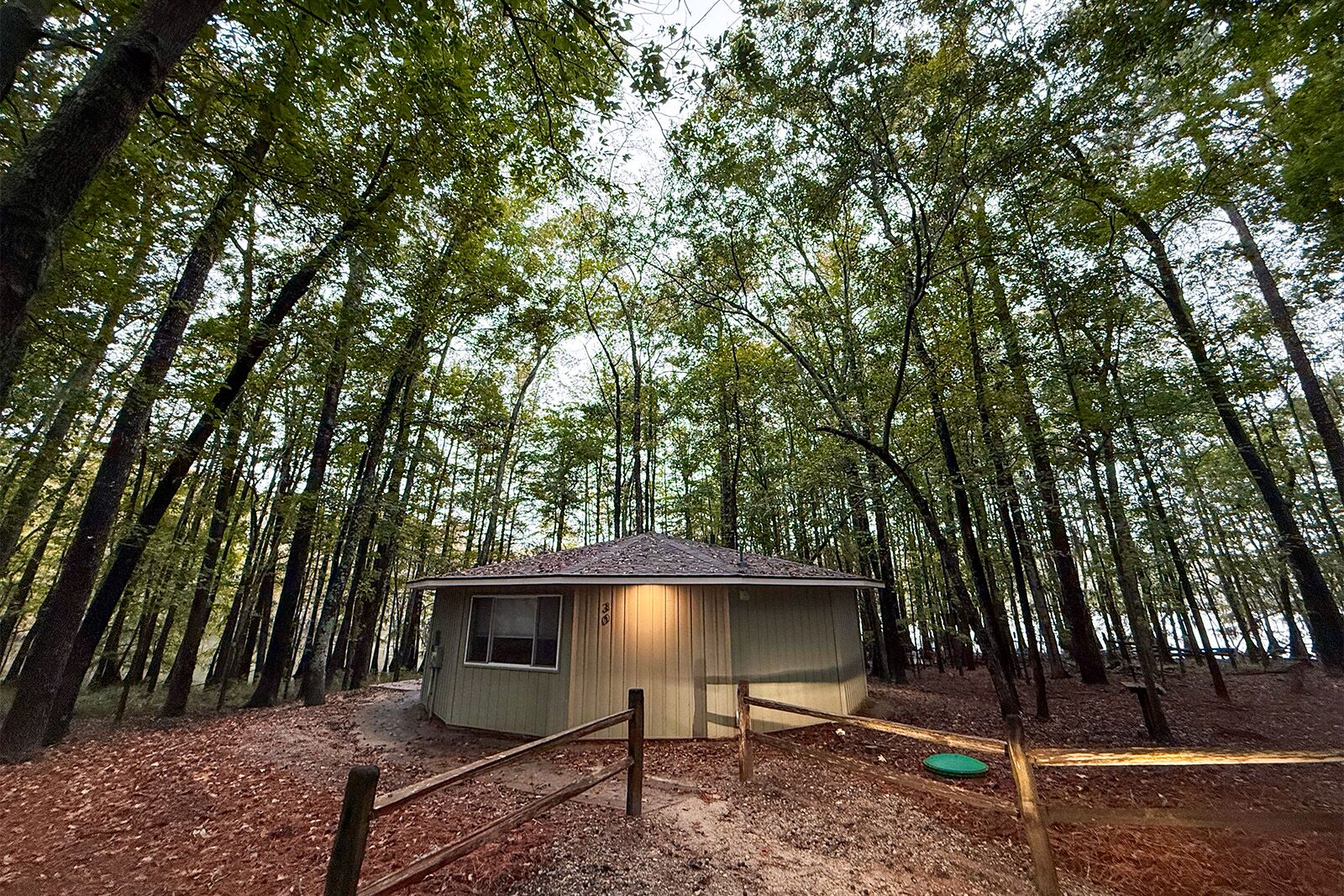 things to do in santee cooper country