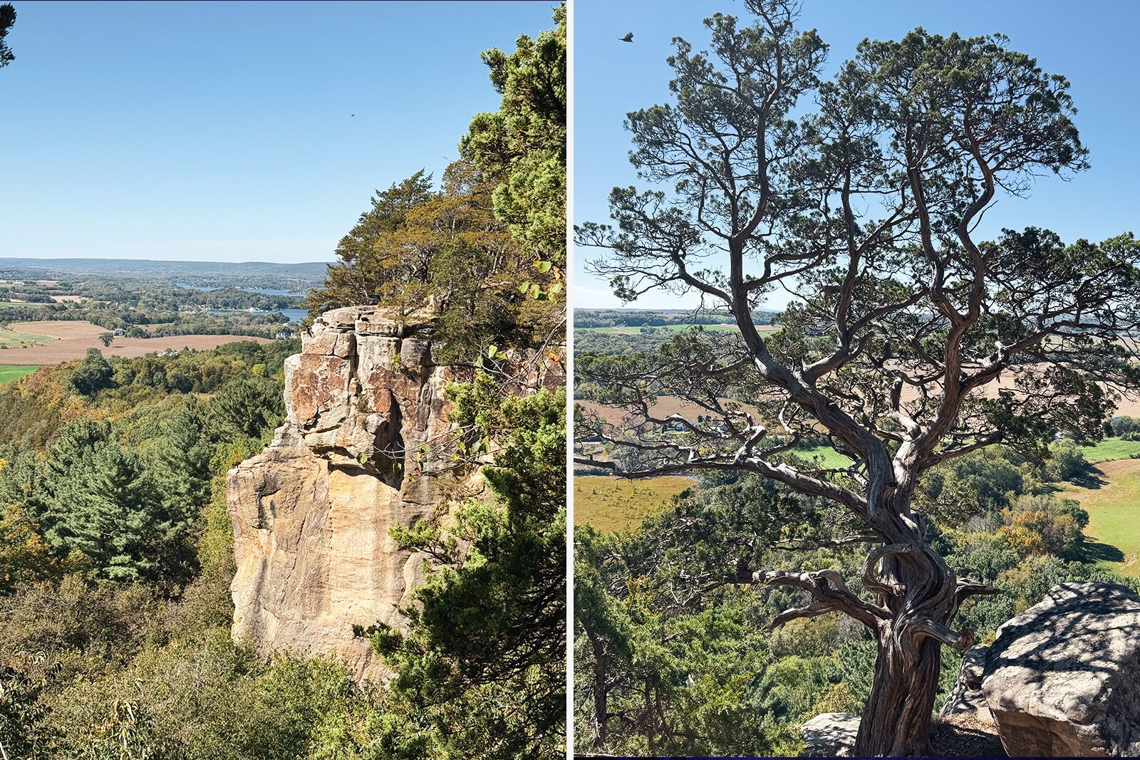 things to do in madison