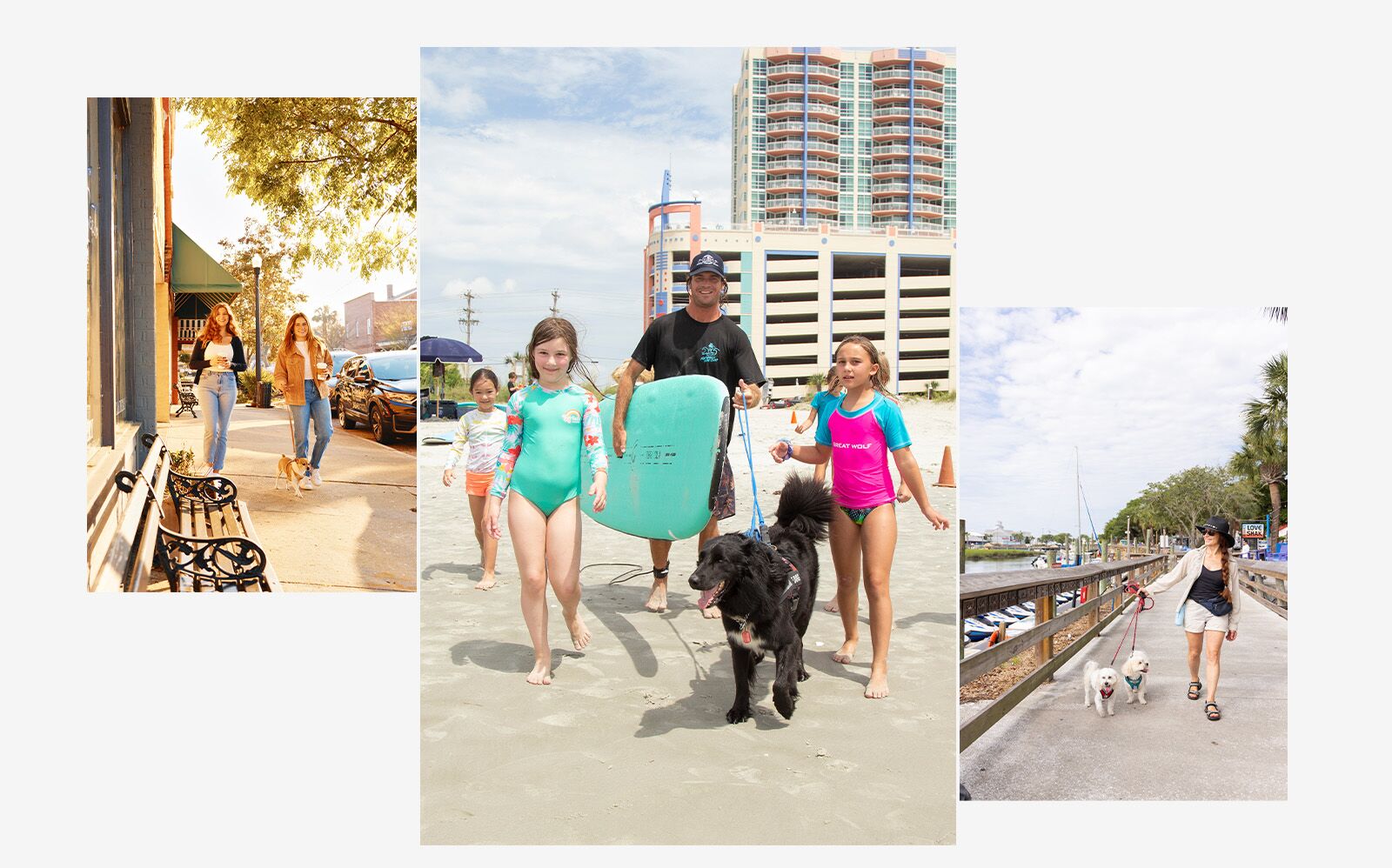 Myrtle Beach dog destination 2025