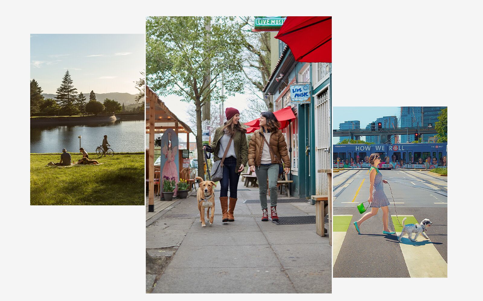 Portland dog destination 2025