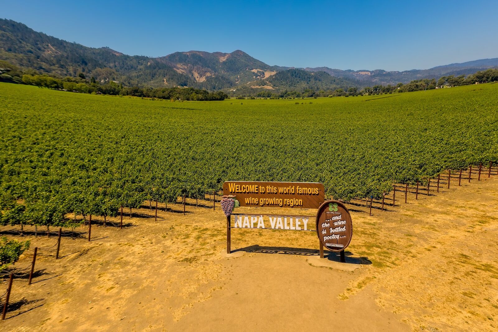 Field of grape vines and sign for wine of Napa Valley California