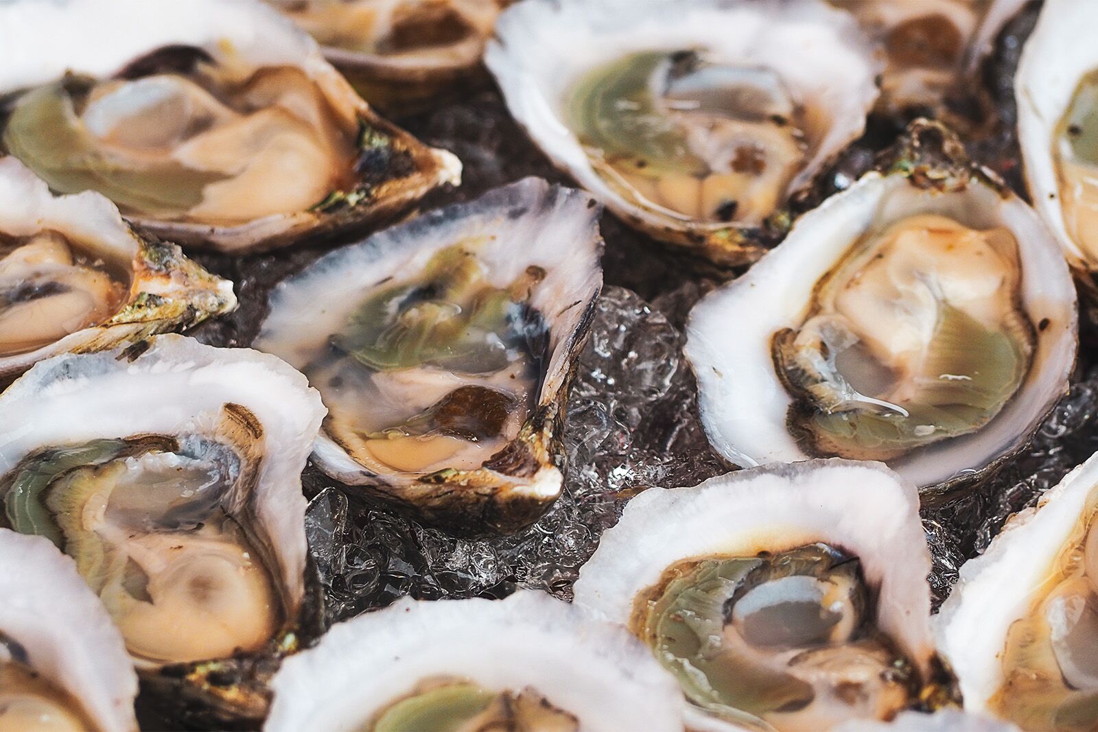 where to eat in pensacola