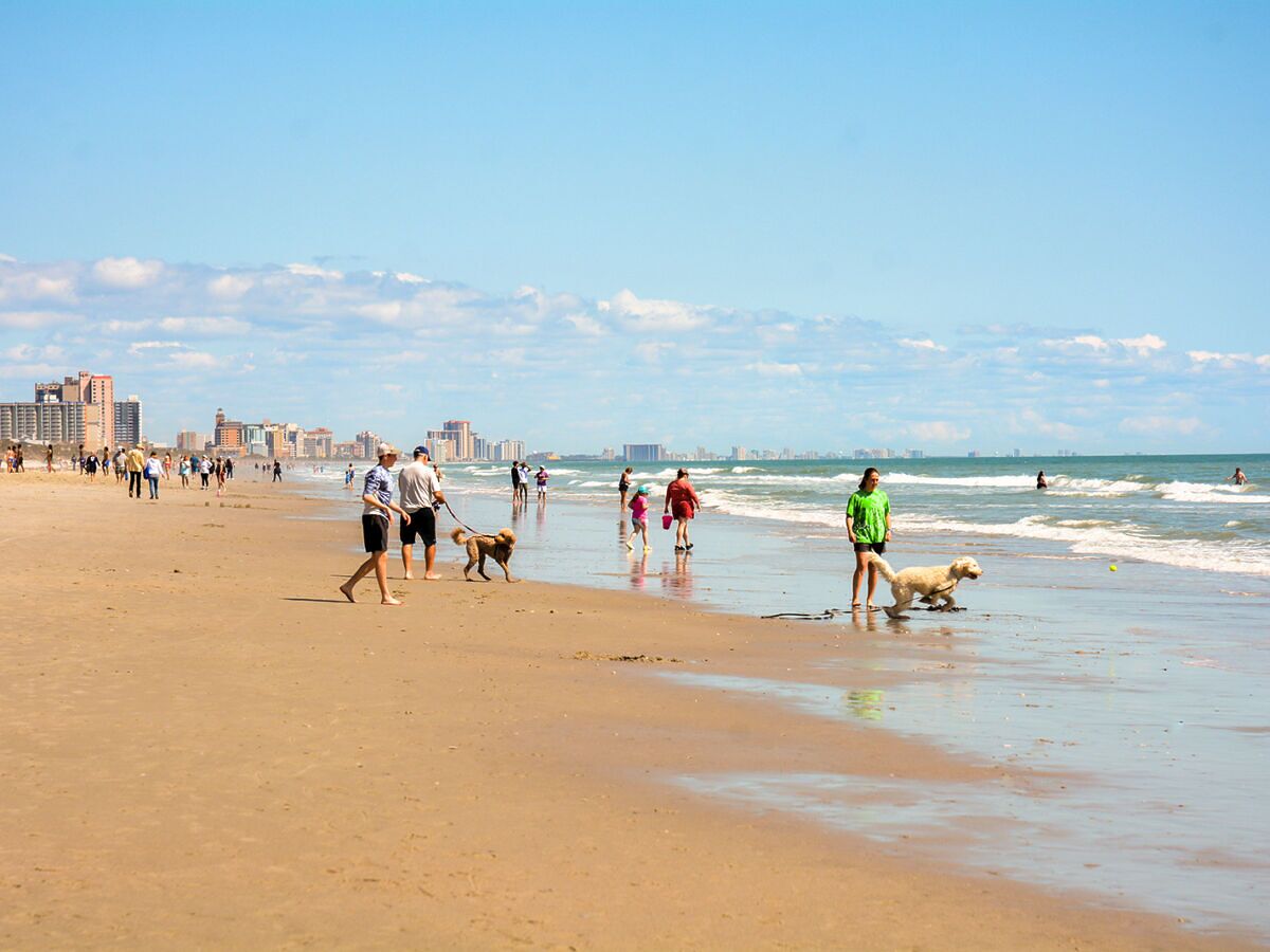 The Best Dog-Friendly Destinations of 2026: Myrtle Beach, South Carolina