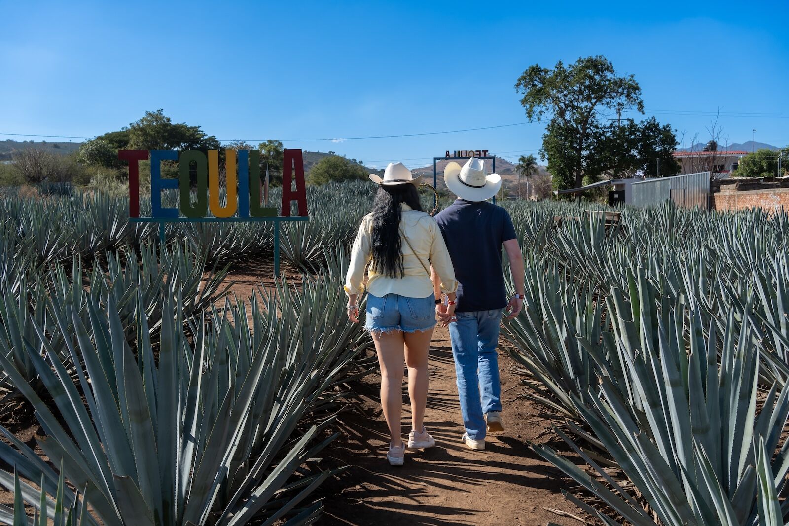 day trips from guadalajara - tequila