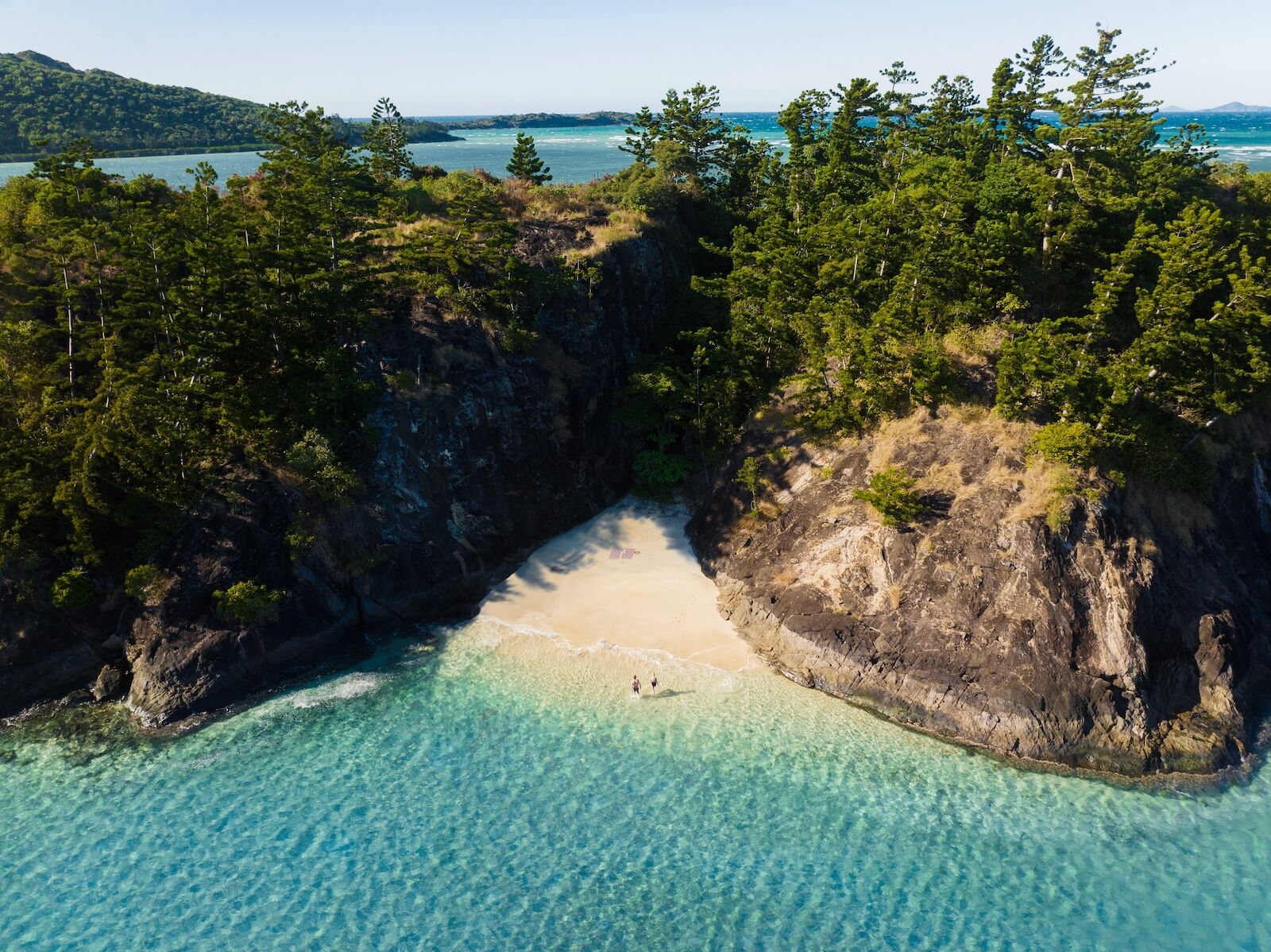 hamilton island cove