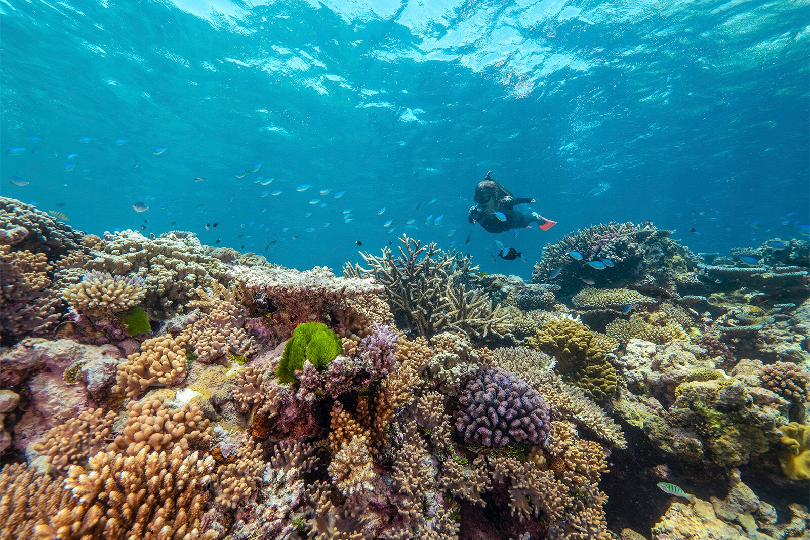 25 unforgettable places to visit in 2026 GBR