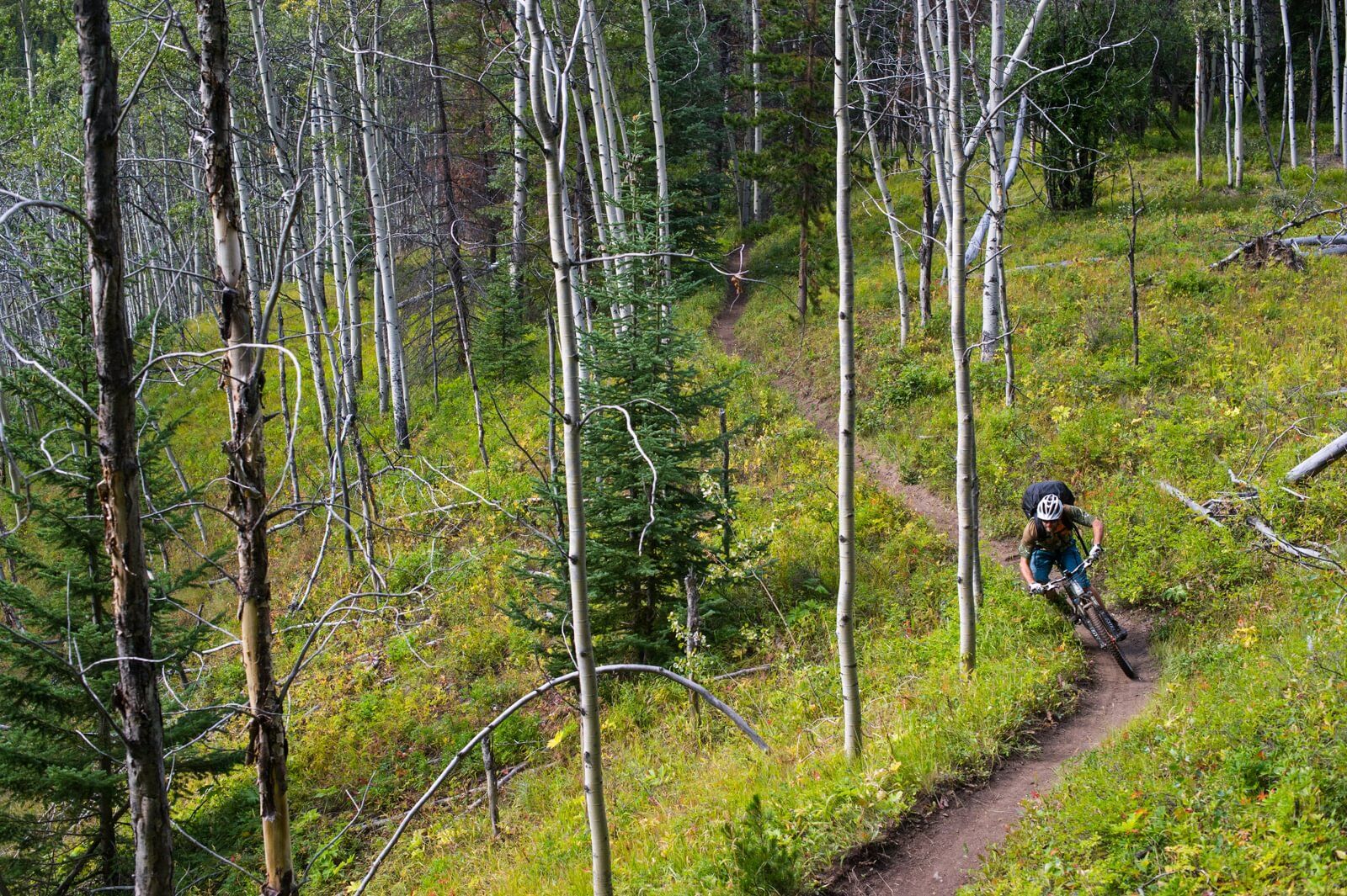 2026 dream vacations - tyax backcountry bike trip 