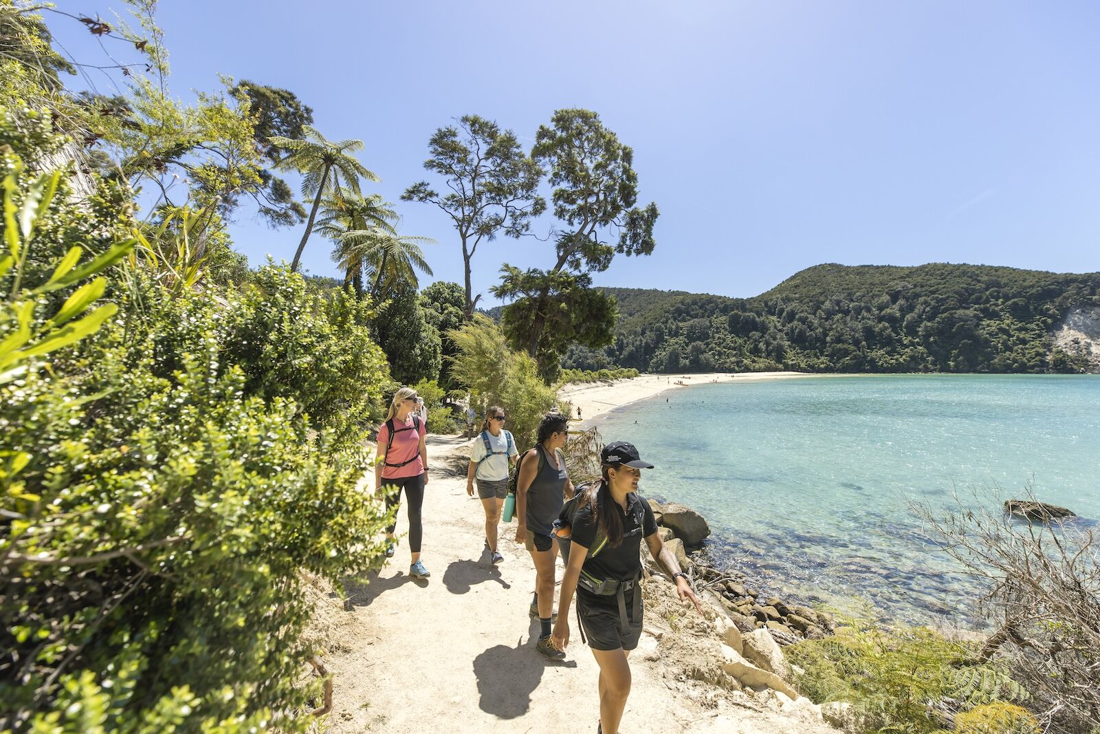 new zealand wine tour - coastal hiking