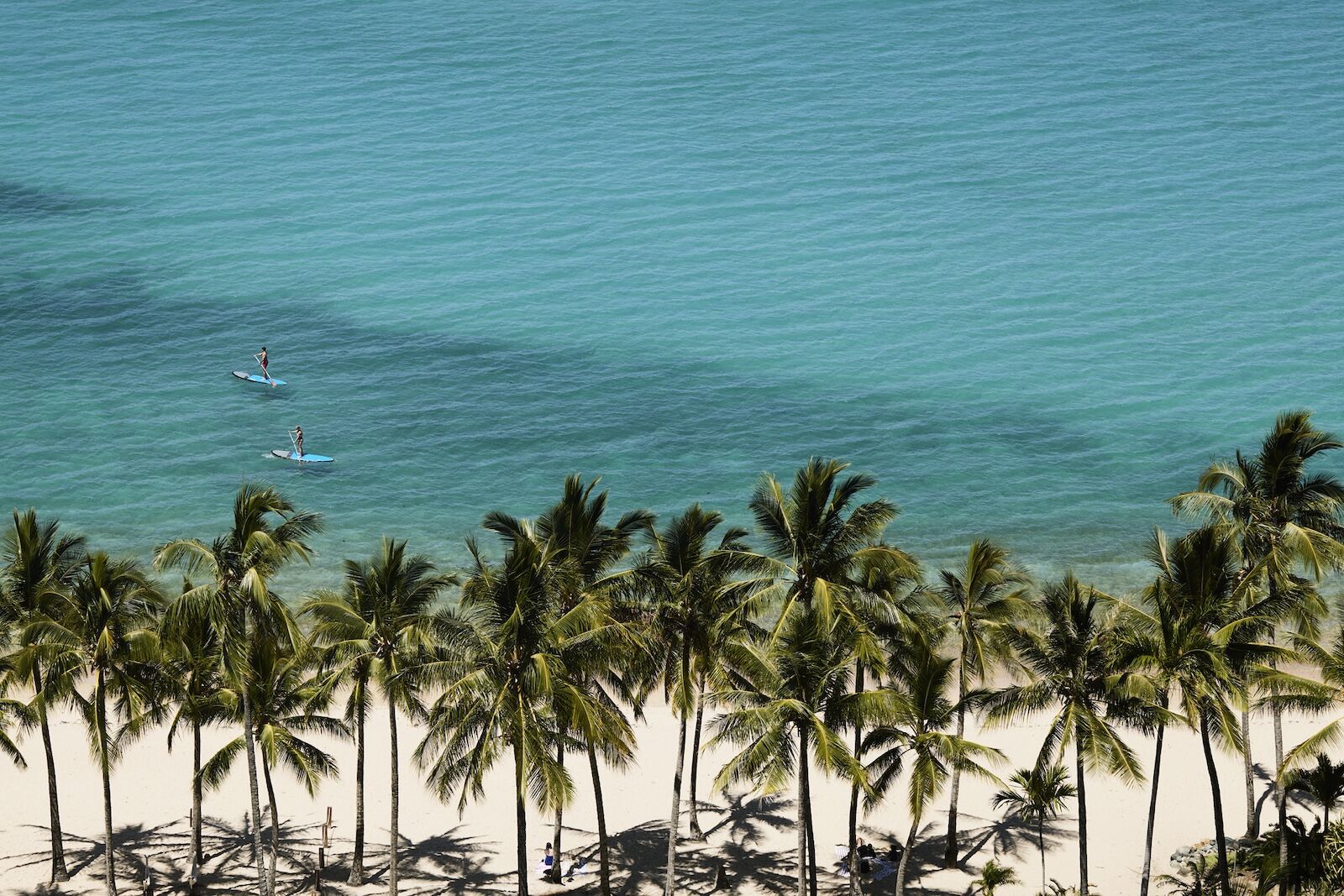 catseye beach hamilton island aus