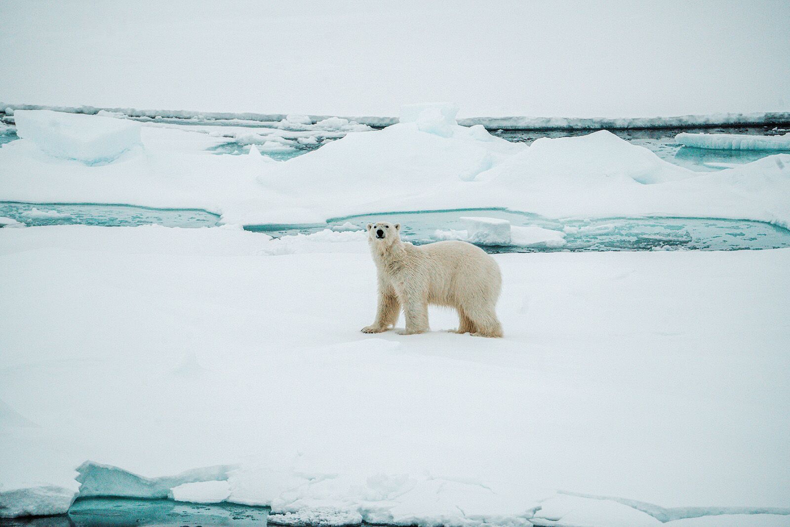 25 unforgettable places to visit in 2026 Svalbard