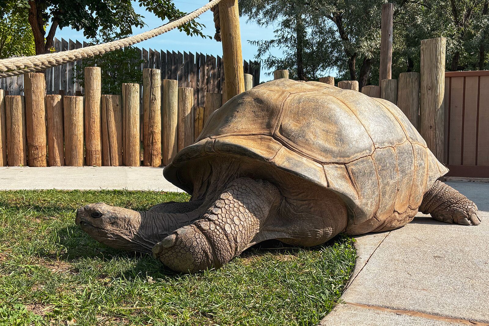 things to do in rapid city