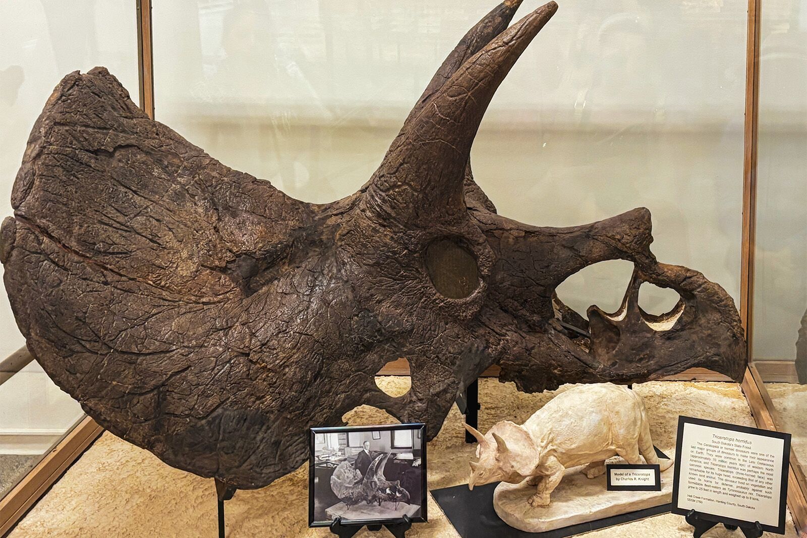 things to do in rapid city