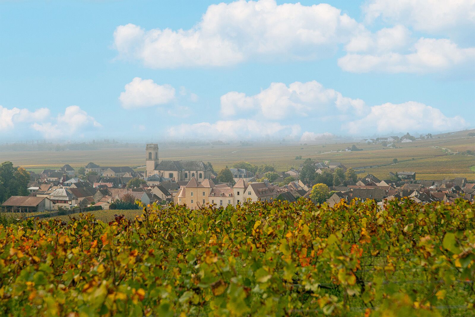 25 Unforgettable Places to Go in 2026: Burgundy