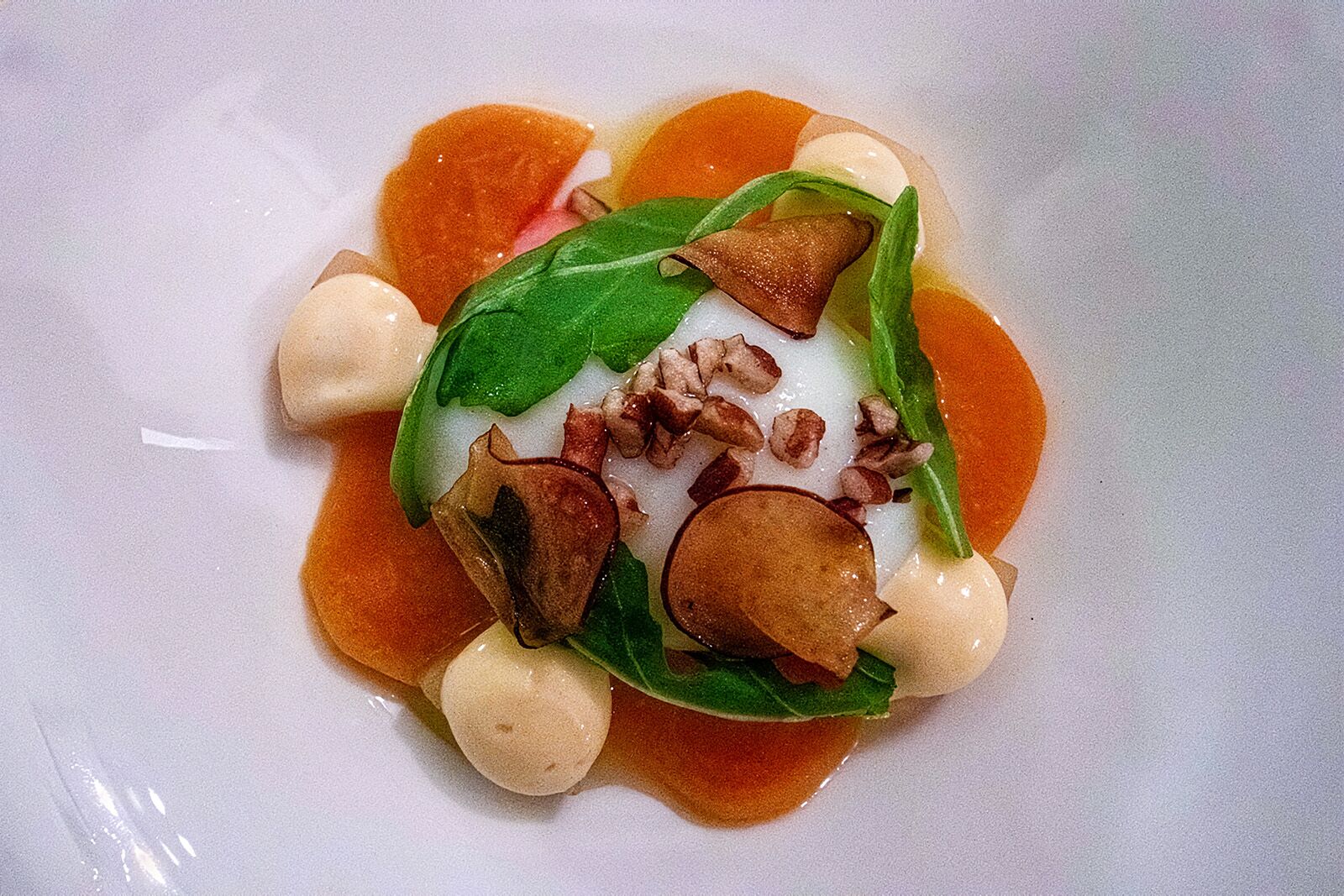 charleston travel guide