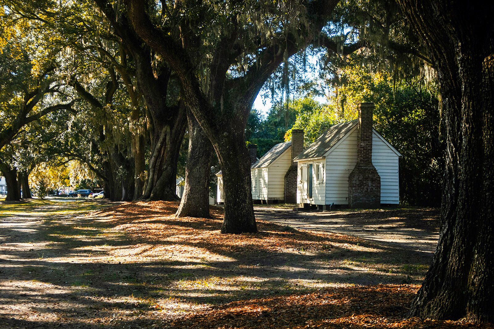 charleston travel guide