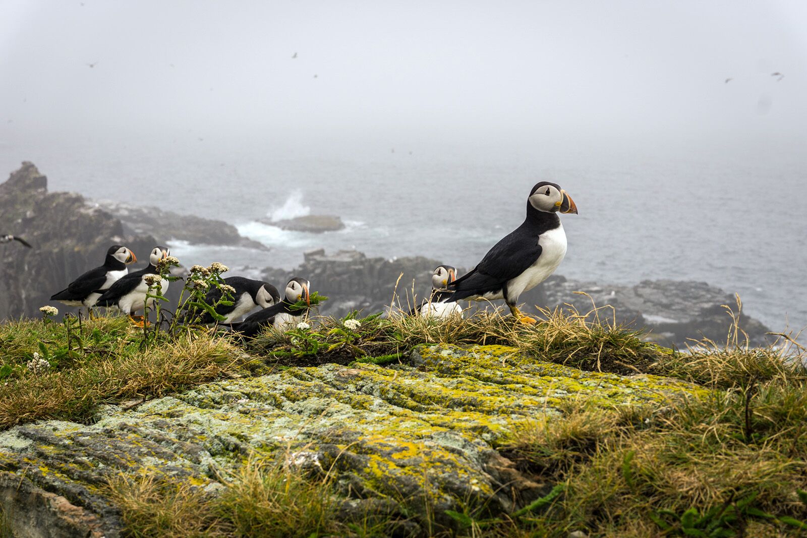 25 unforgettable places to visit in 2026 Newfoundland and Labrador