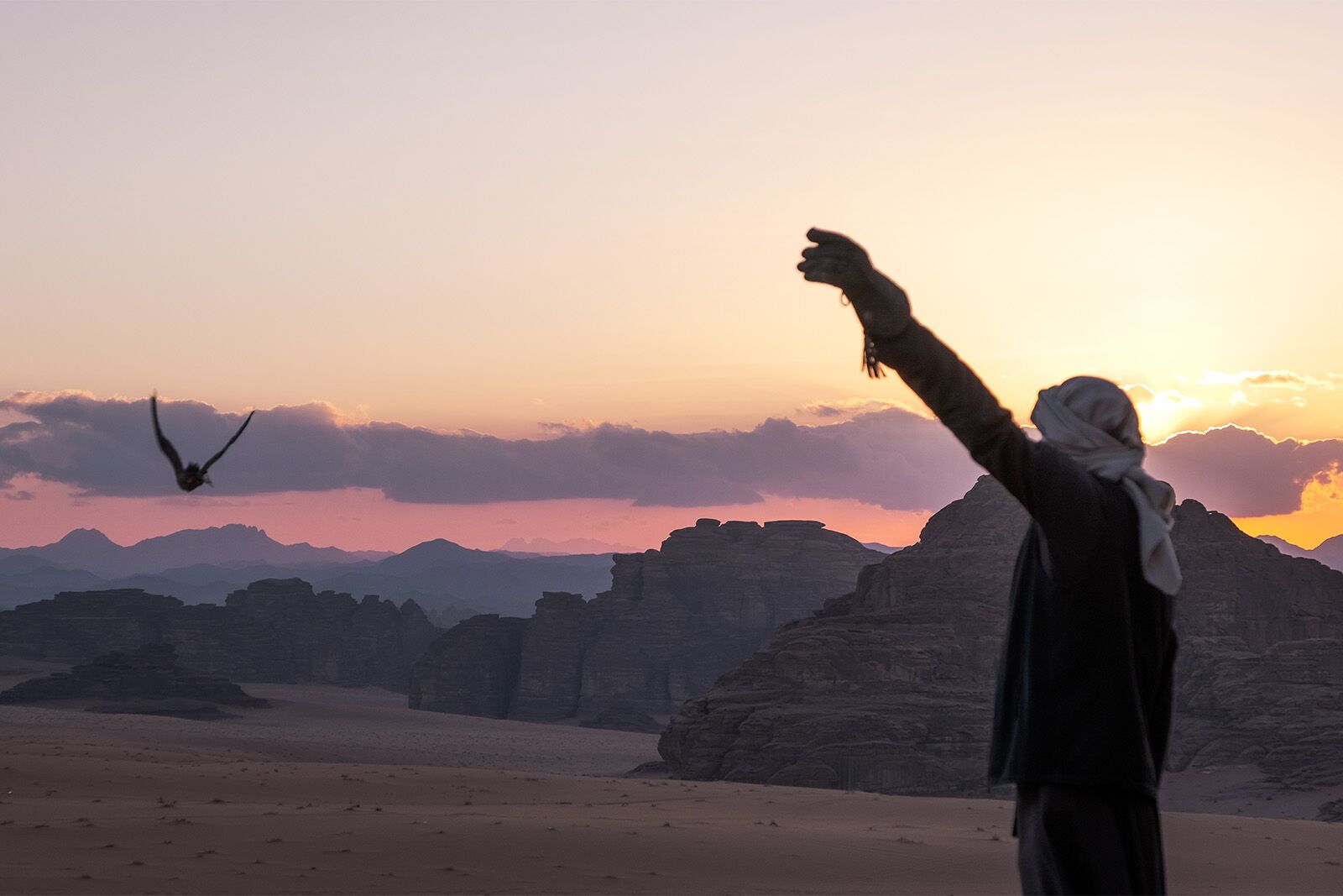 25 Unforgettable Places to Go in 2026 Bajdah Wildlife Reserve