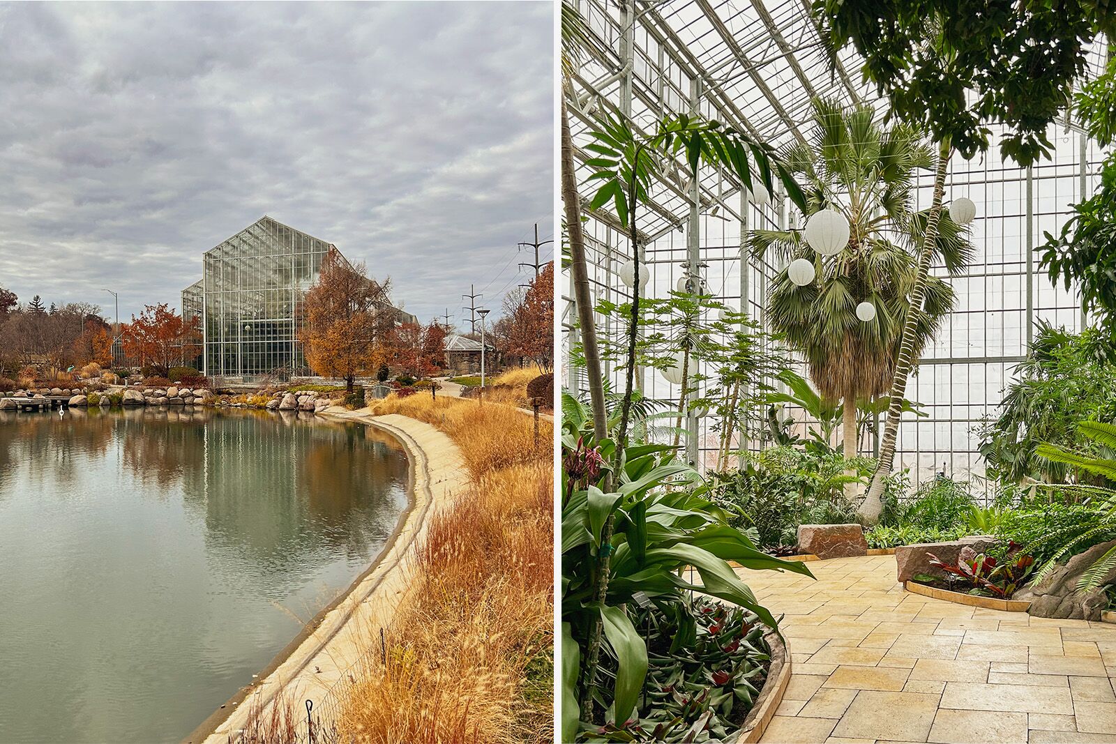 things to do in rockford illinois