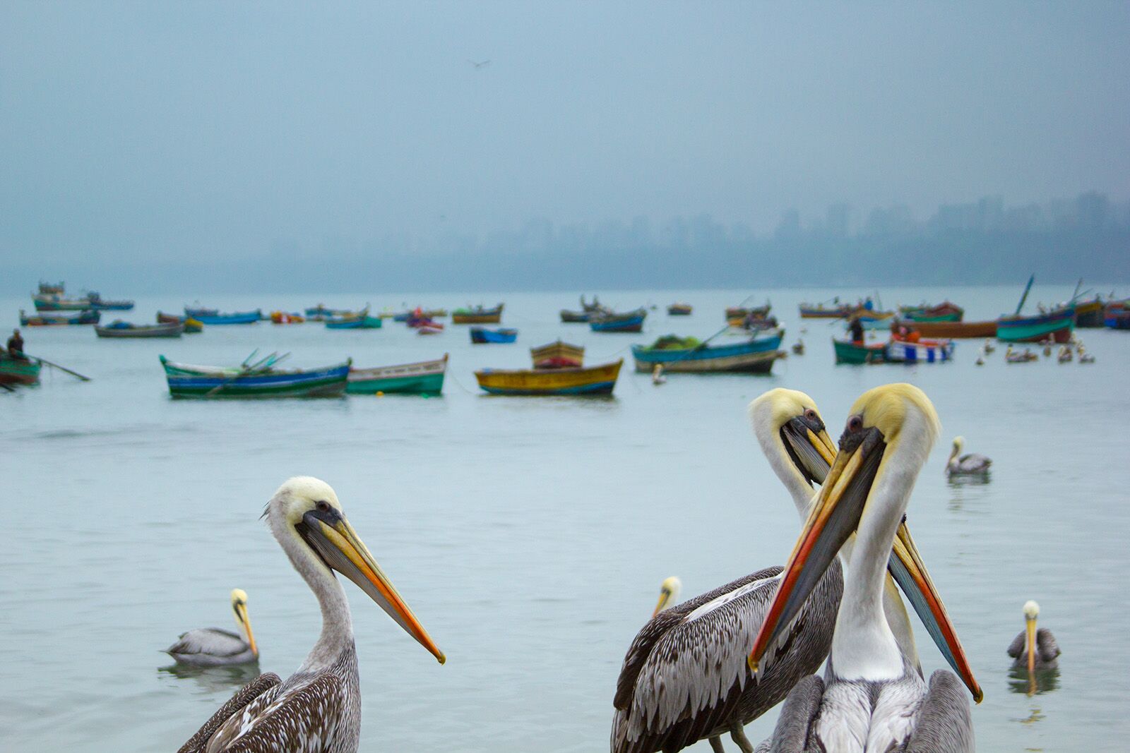 25 unforgettable places to visit in 2026 Lima