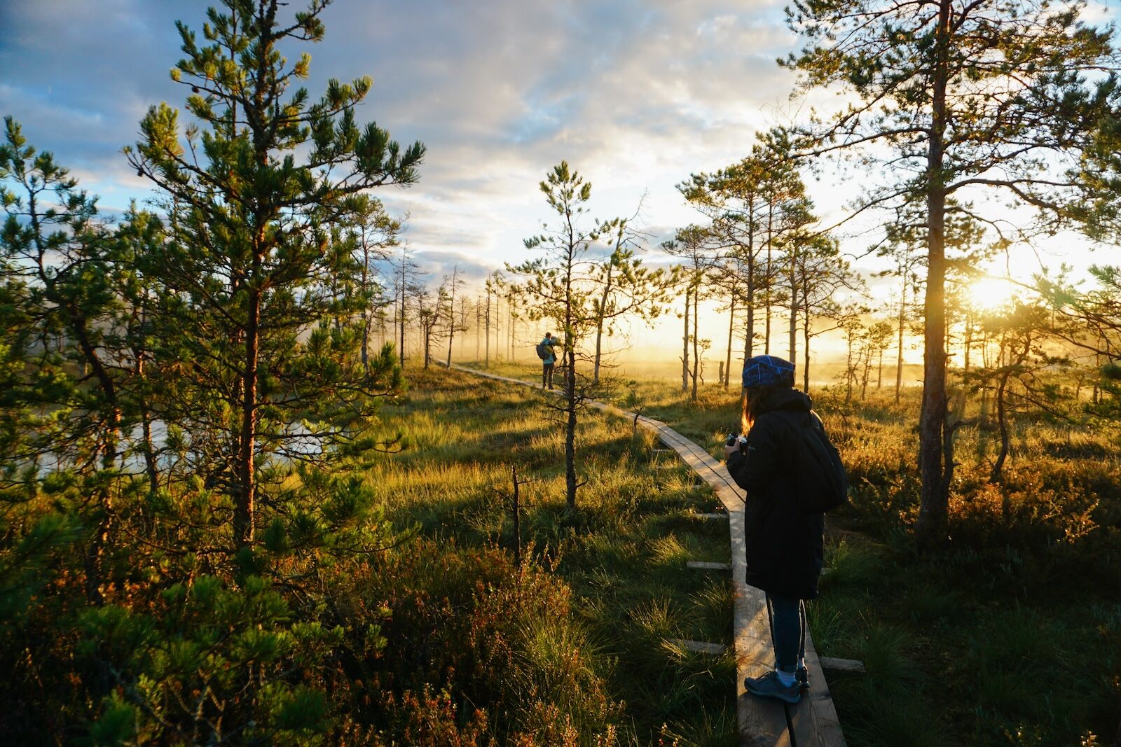 People walking on a wooden path in Lahemaa National Park, Estonia, during sunrise in cold weather, stopping to take pictures of the forest and natural surroundings.