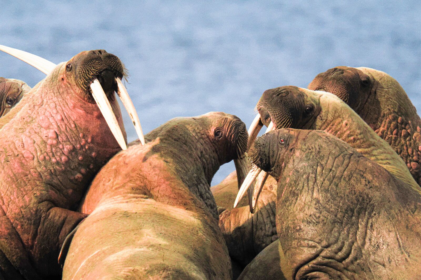 25 unforgettable places to visit in 2026 Svalbard