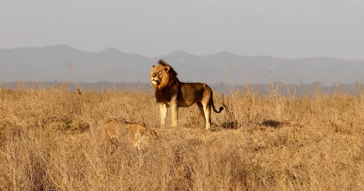 Matador Network Readers' Choice Awards 2025: Wildlife Destination