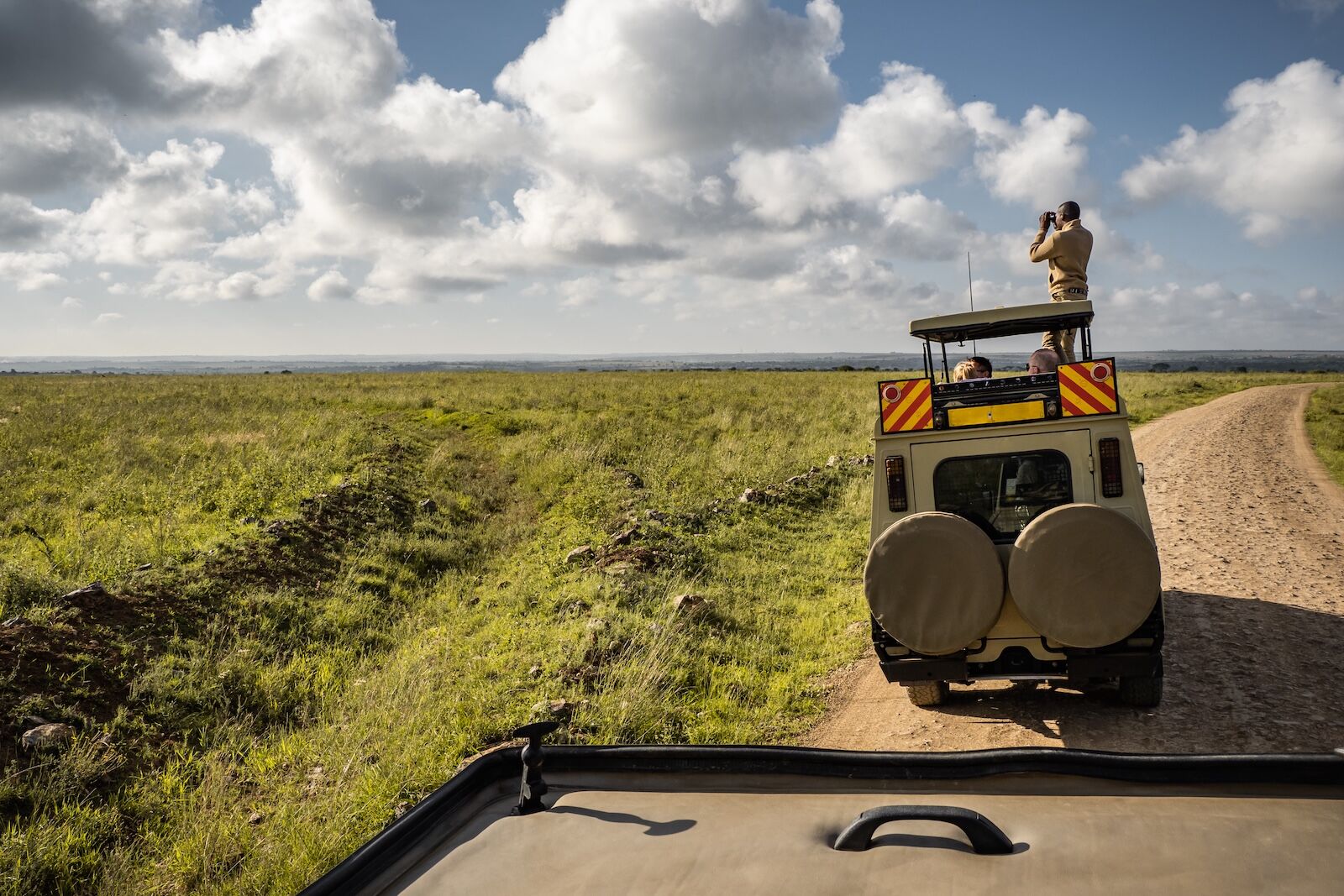 A local safari guide standing on top of his vehicle looking through binoculars searing for wildlife to show the tourists, Nairobi National Park, Kenya