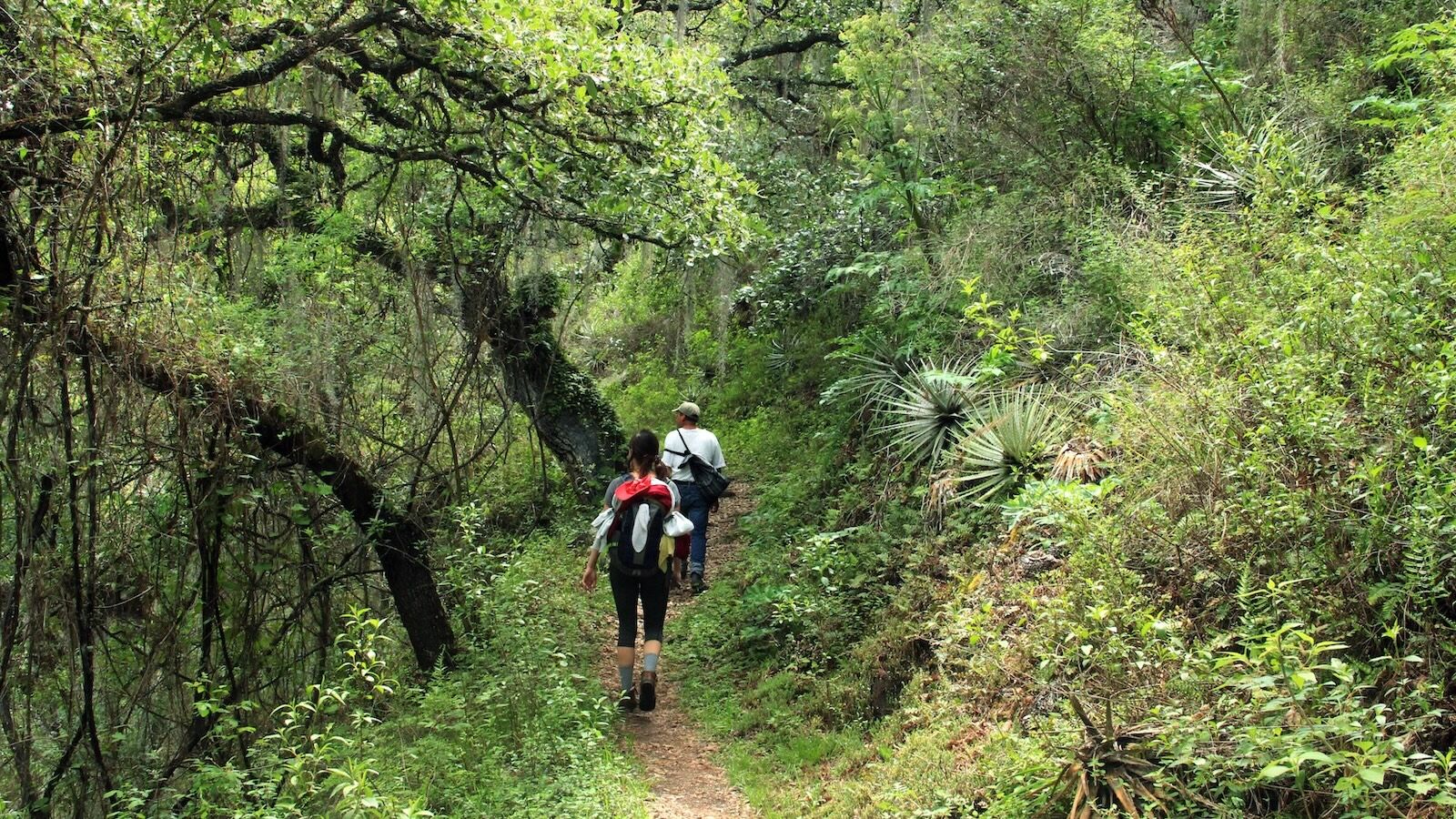 Girl hiking in the Sierra Norte Mountains