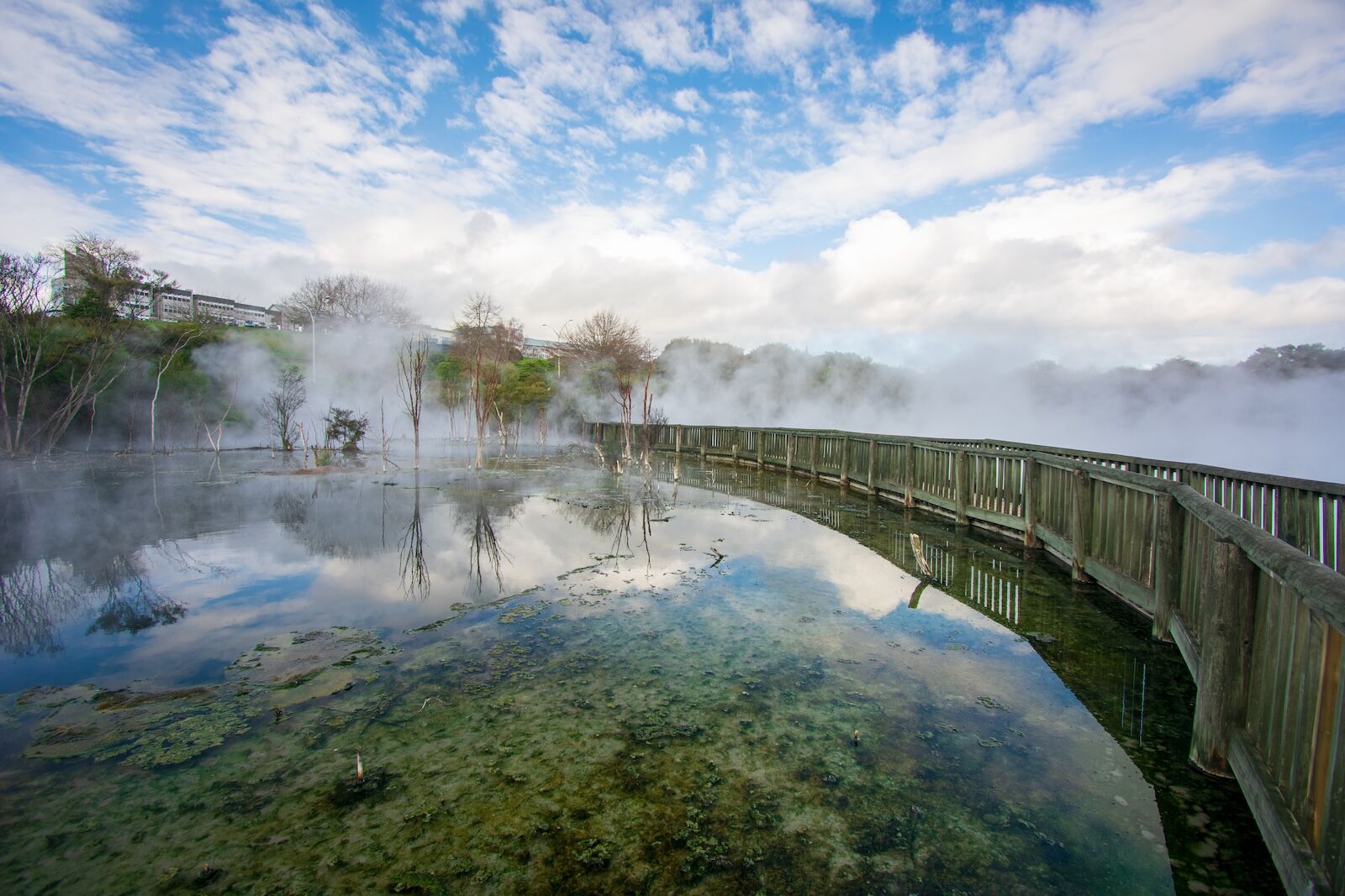 Geothermal activity in Rotorua, New Zealand