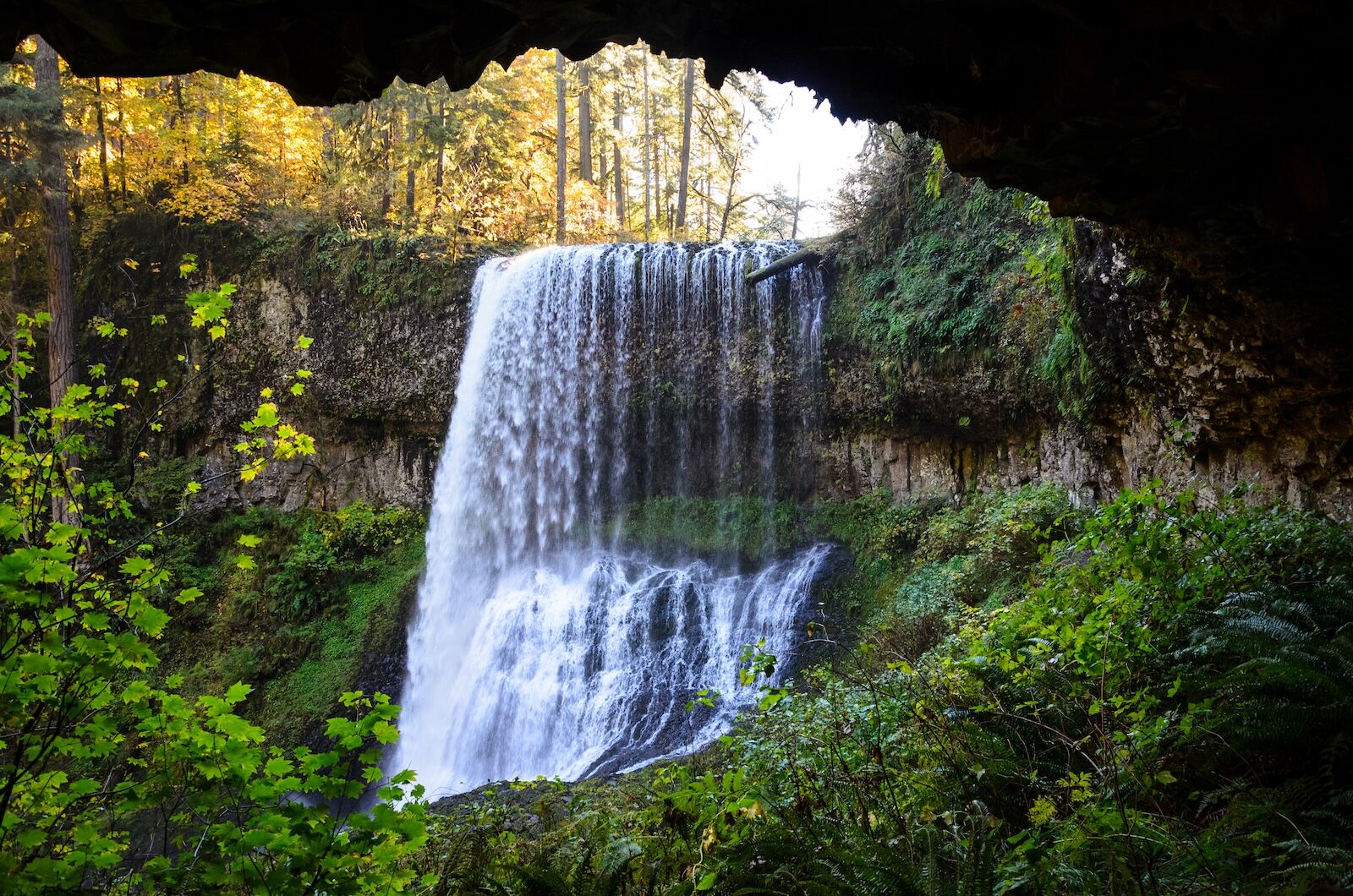 trending state parks - oregon