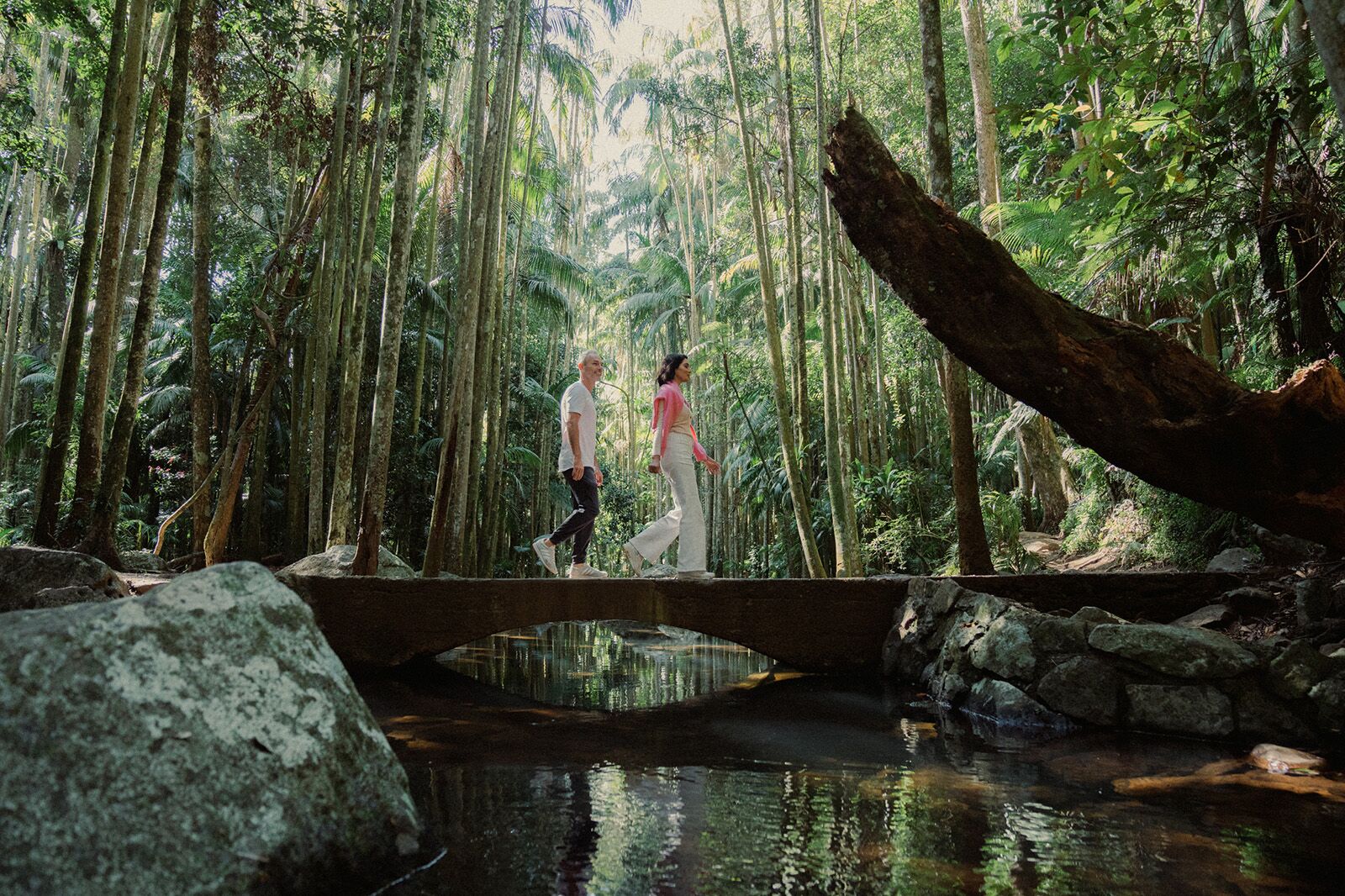 brisbane travel guide