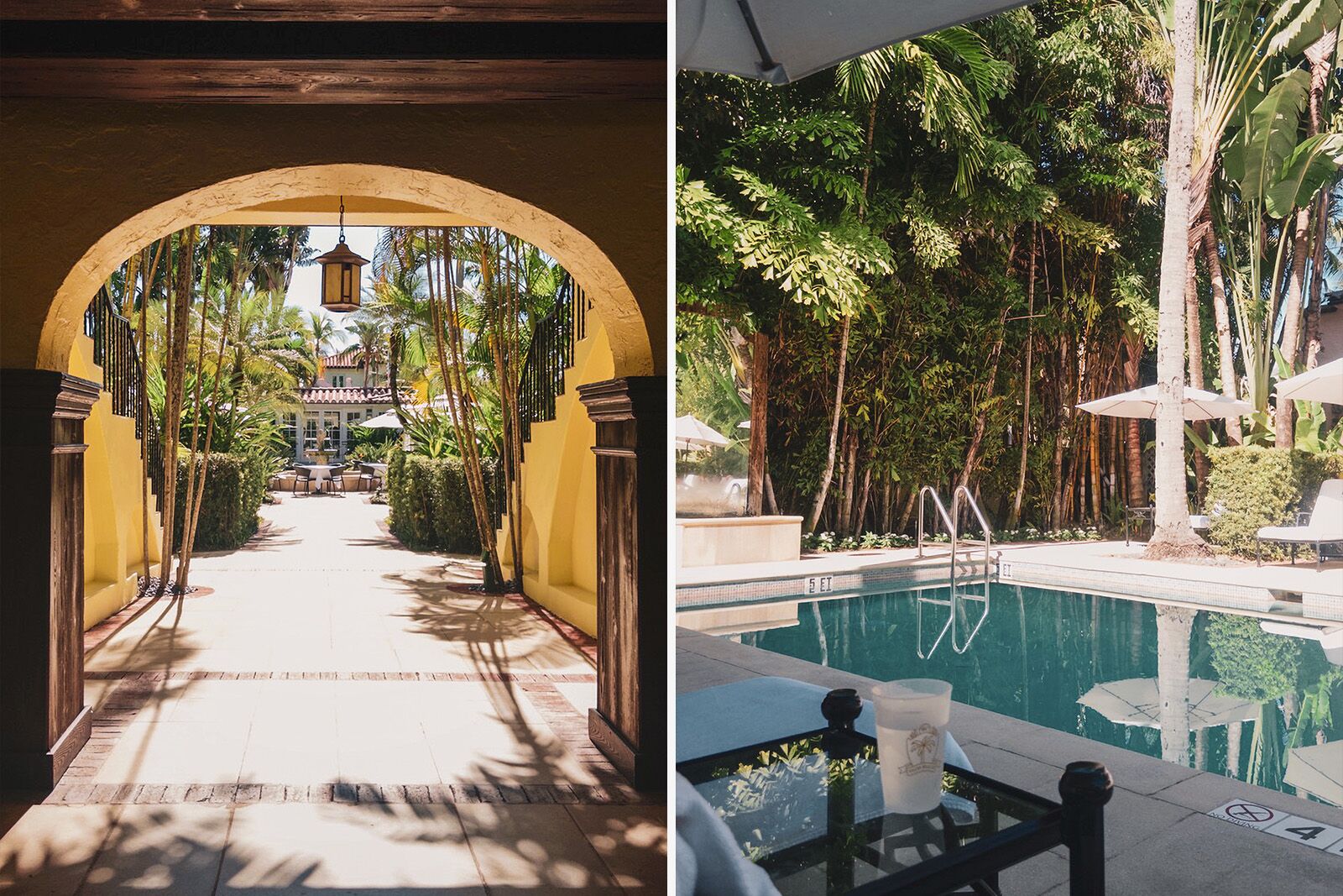 things to do in the palm beaches