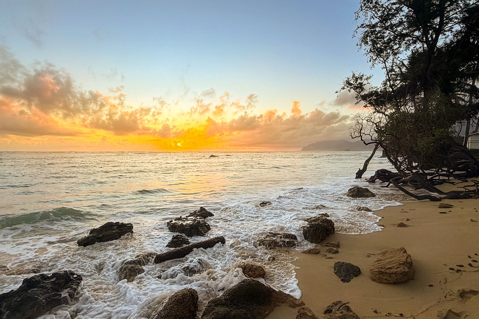 My First Solo Trip: What O‘ahu Taught Me About Slowing Down, Cherishing Legacies, and Moving Forward