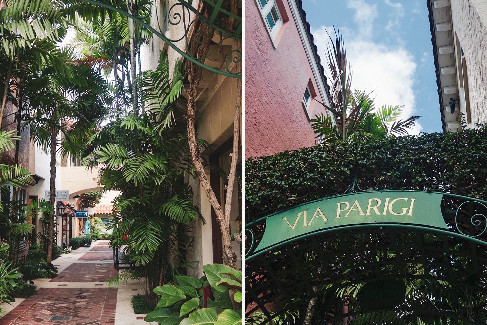 things to do in the palm beaches