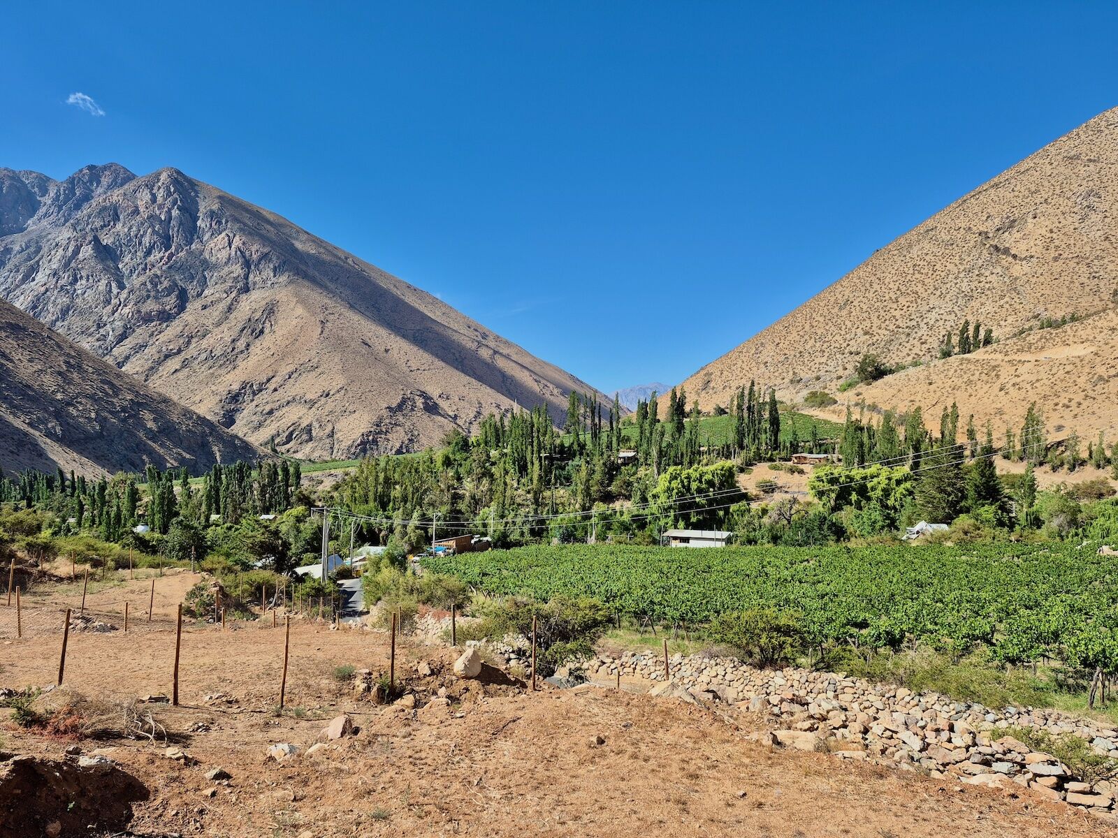 In Chile’s Elqui Valley, Follow Gabriela Mistral’s Route Through Pisco and Cosmic Skies