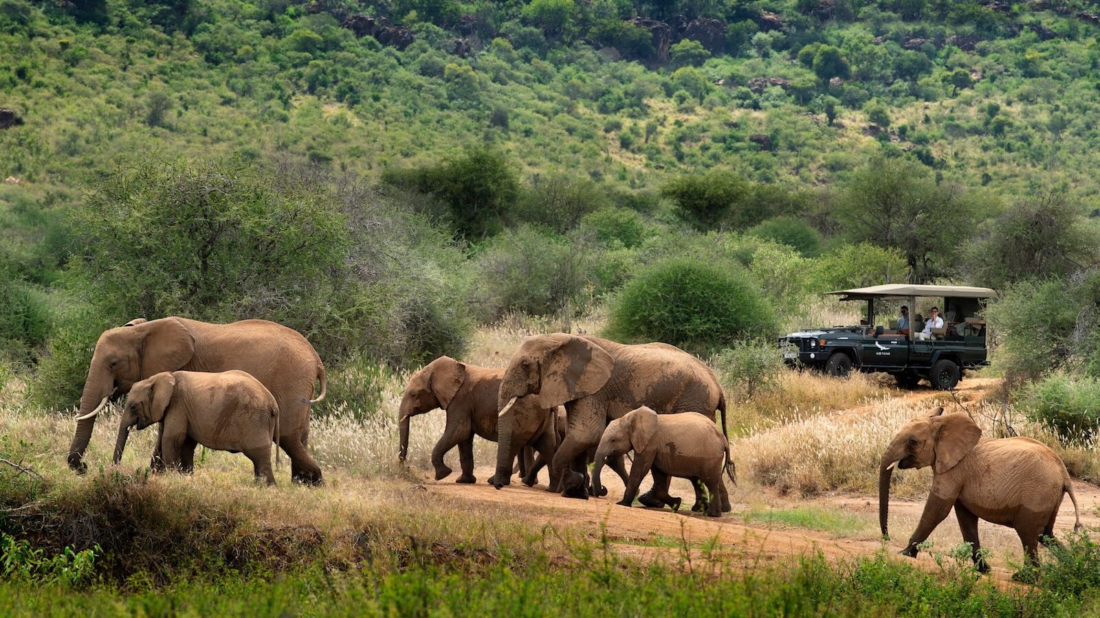 Suyian Conservancy in kenya