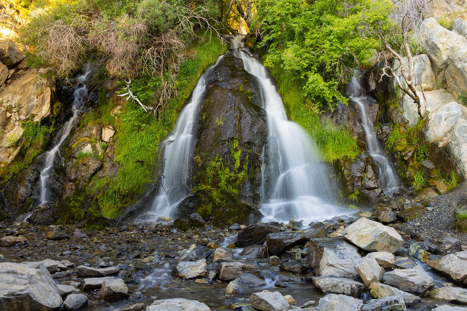 budget road trips in Nevada