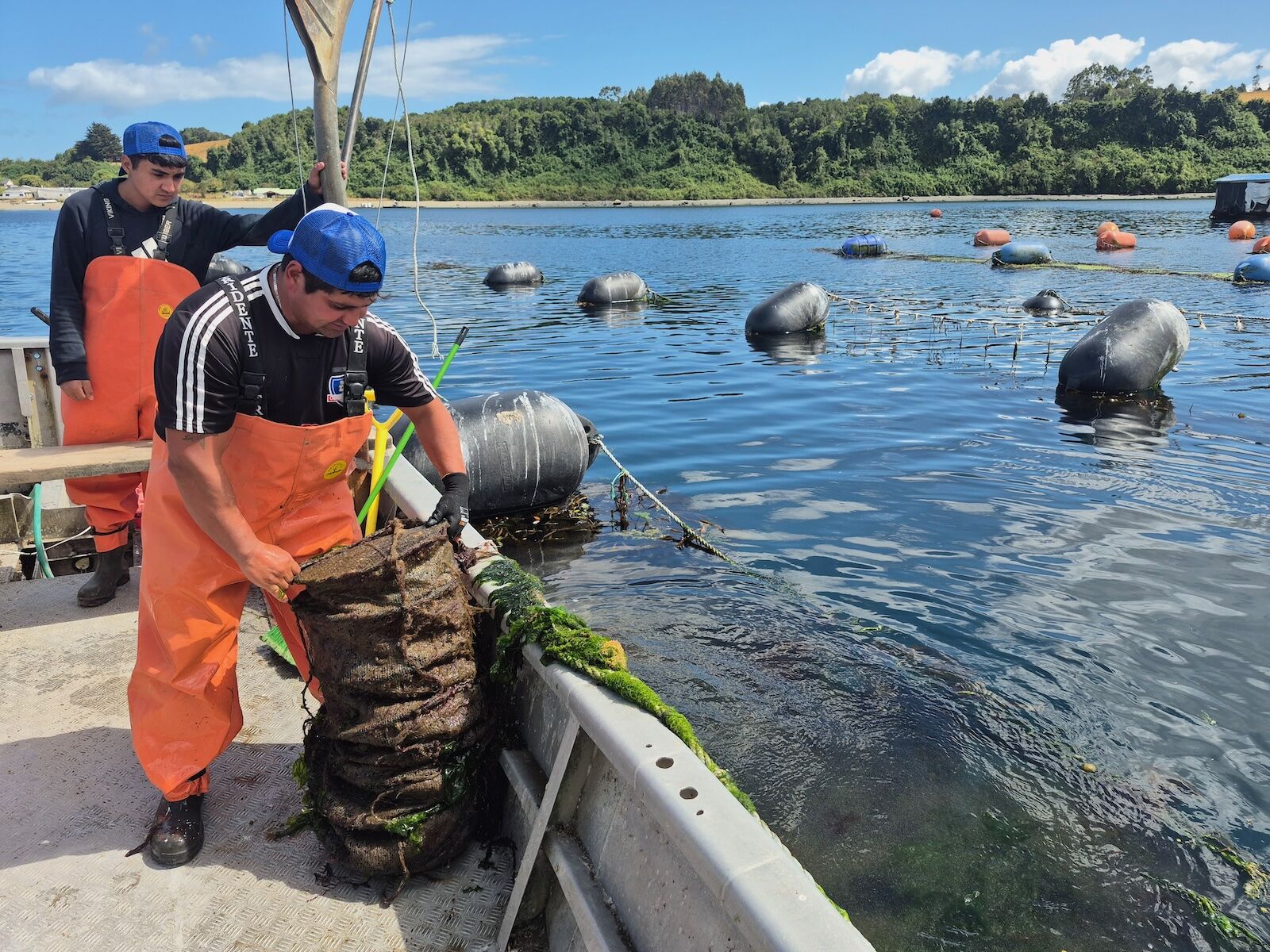How a Trip to Chiloé, Chile Connects You to Patagonia’s Land, Sea, and Stories