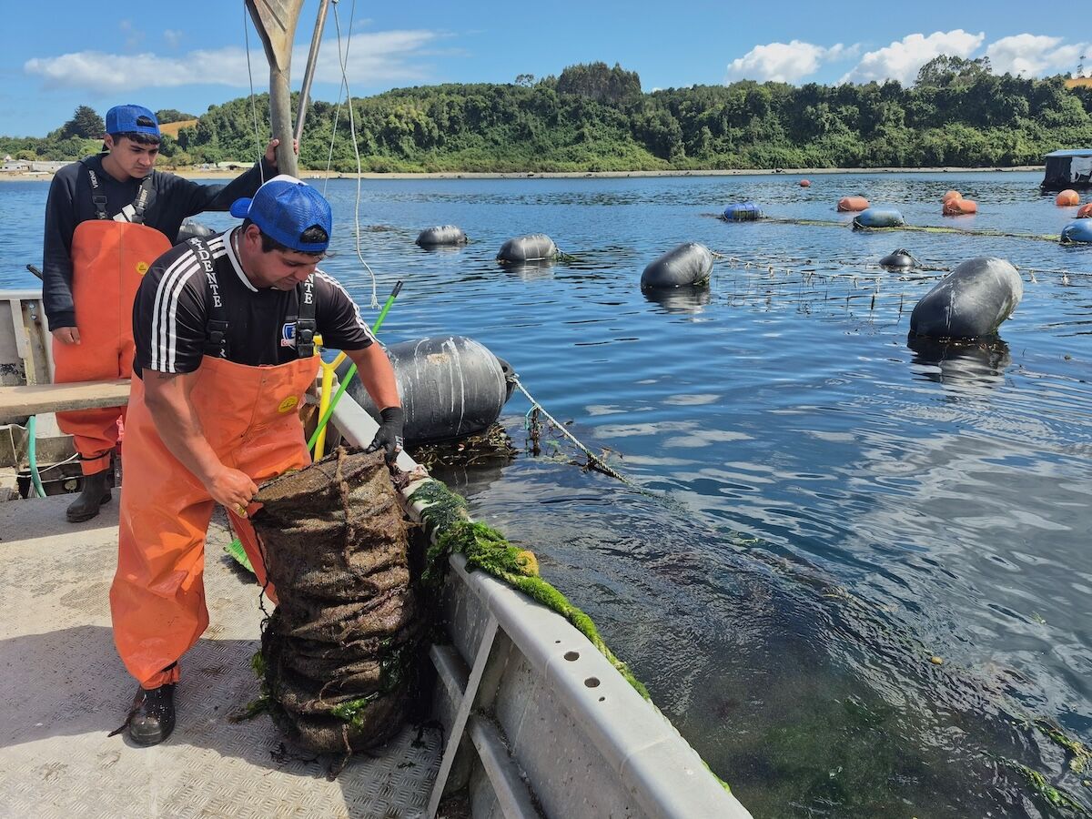 How a Trip to Chiloé, Chile Connects You to Patagonia’s Land, Sea, and Stories