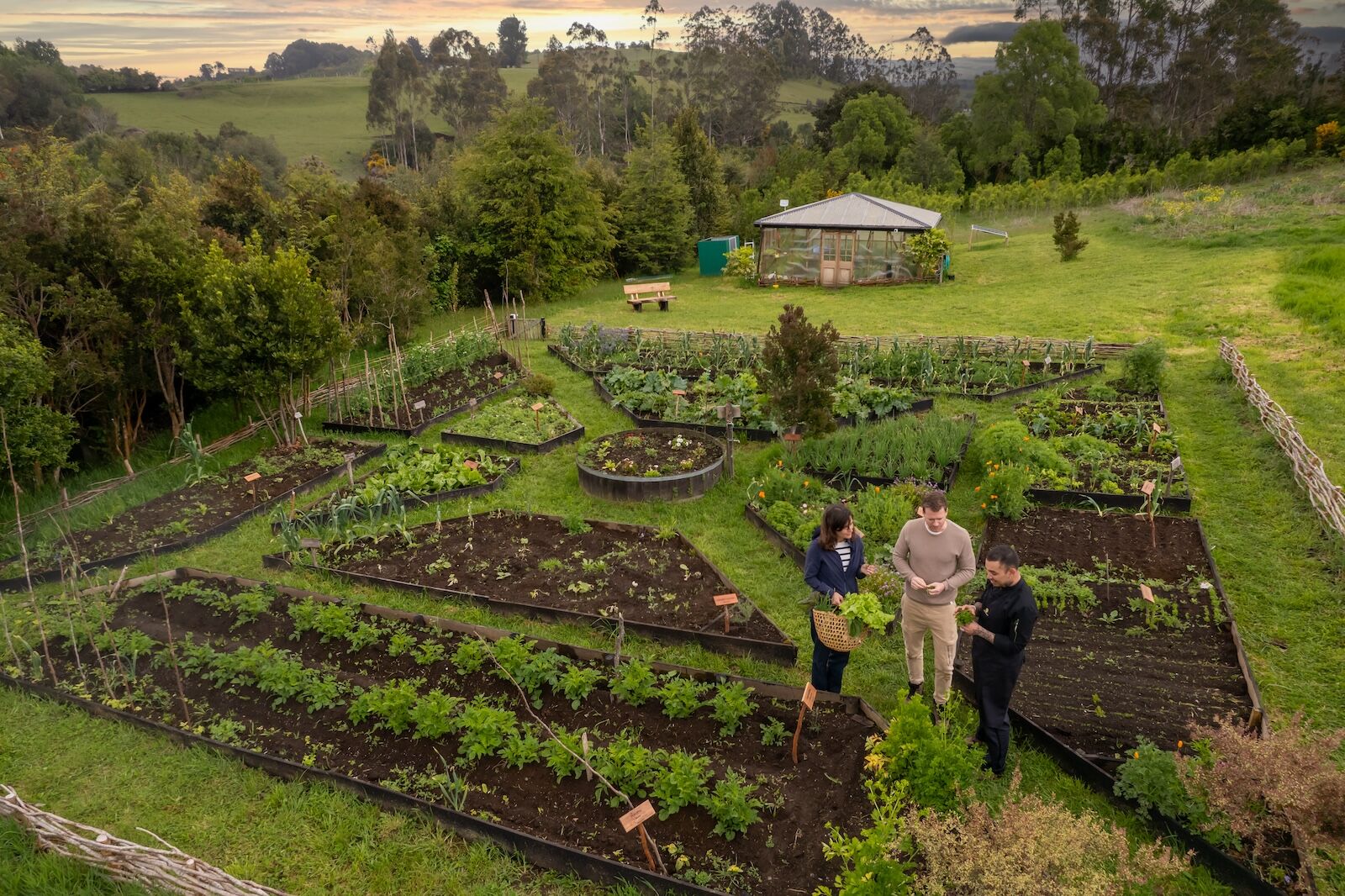 organic garden at Refugia Chilo&eacute;