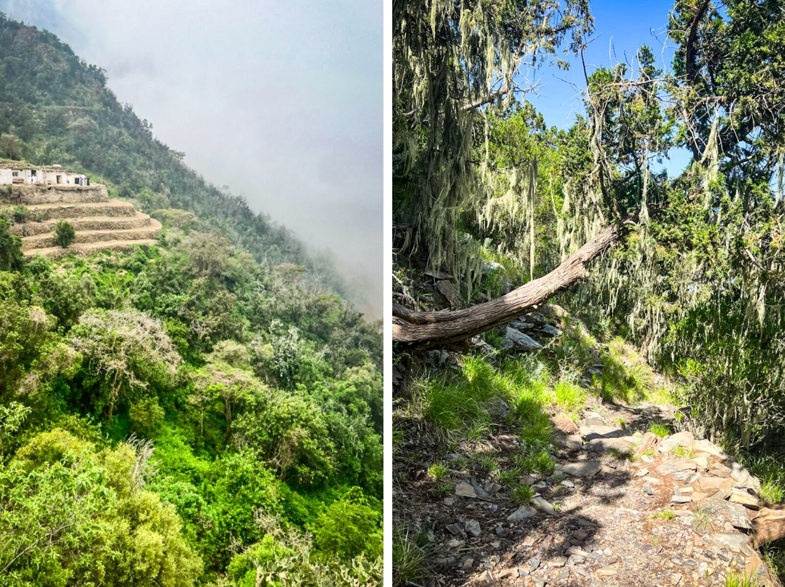 hiking in saudi arabia - asir 
