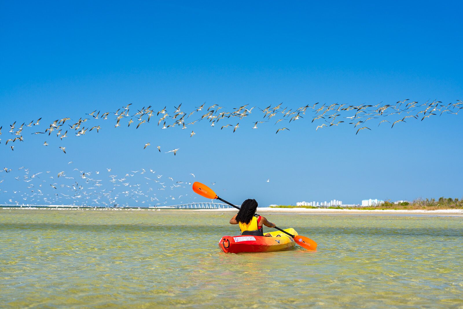 remote workers Fort Myers and Sanibel Southwest Florida
