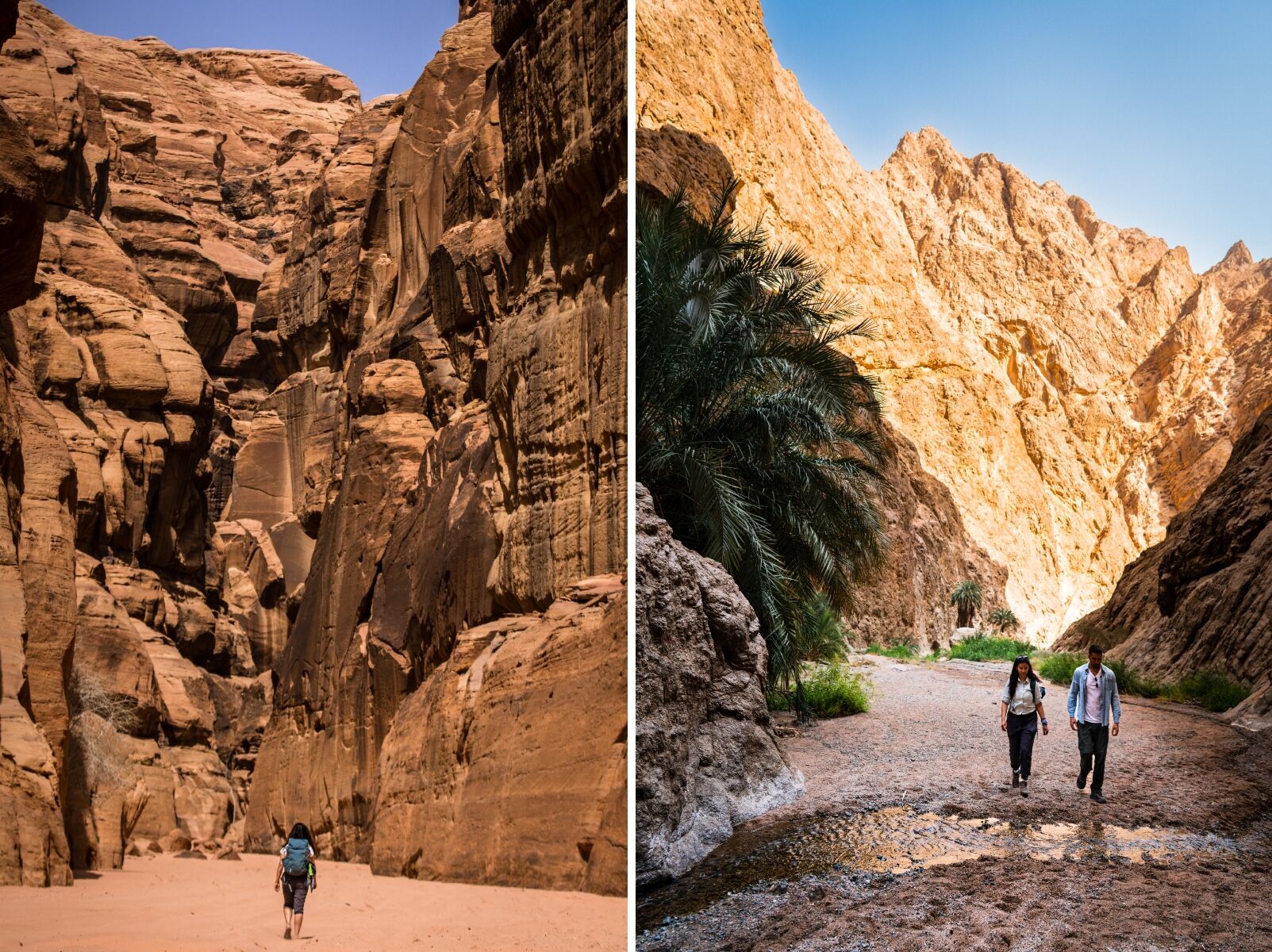 saudi arabia hiking trails